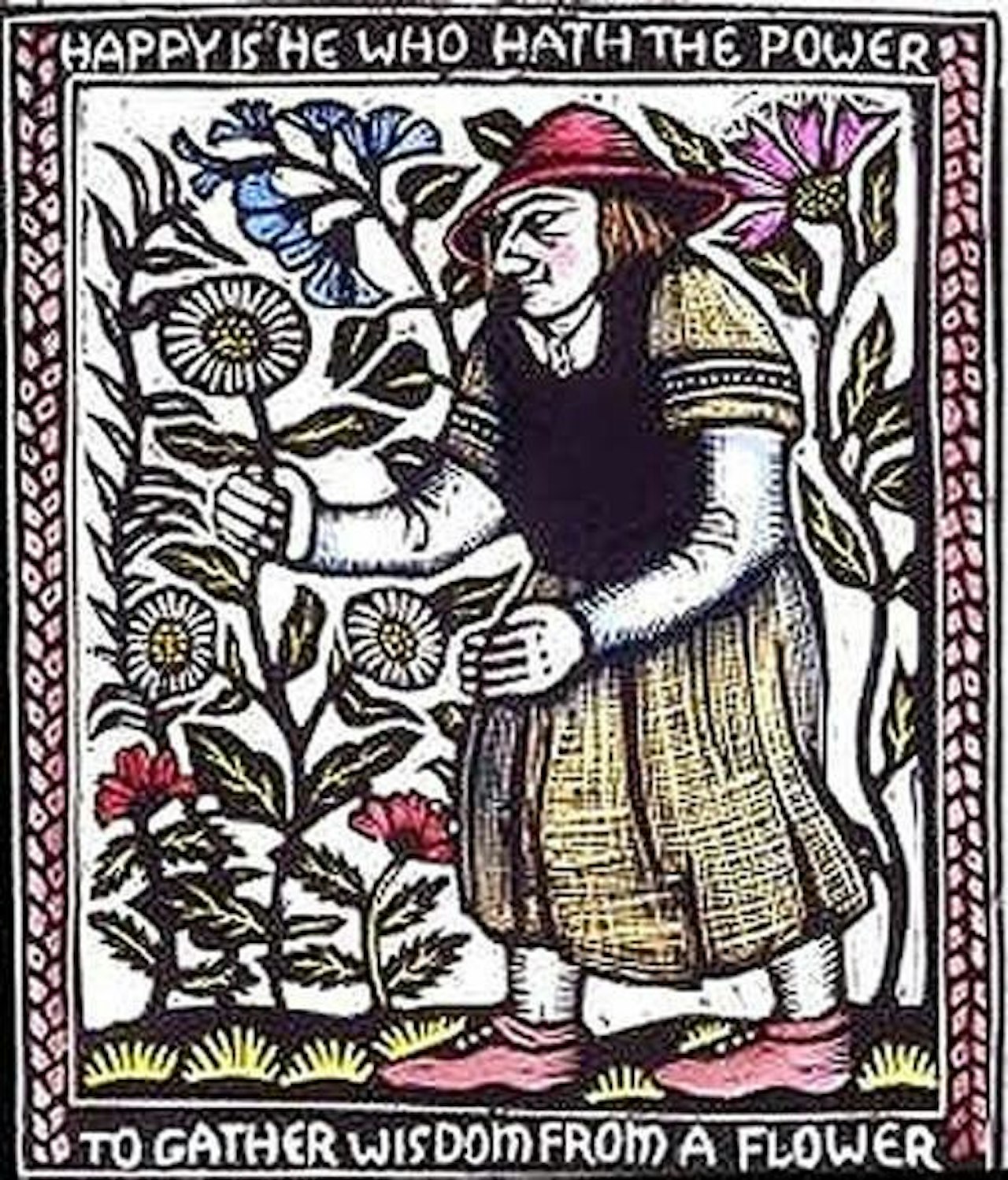 gather wisedom from a flower