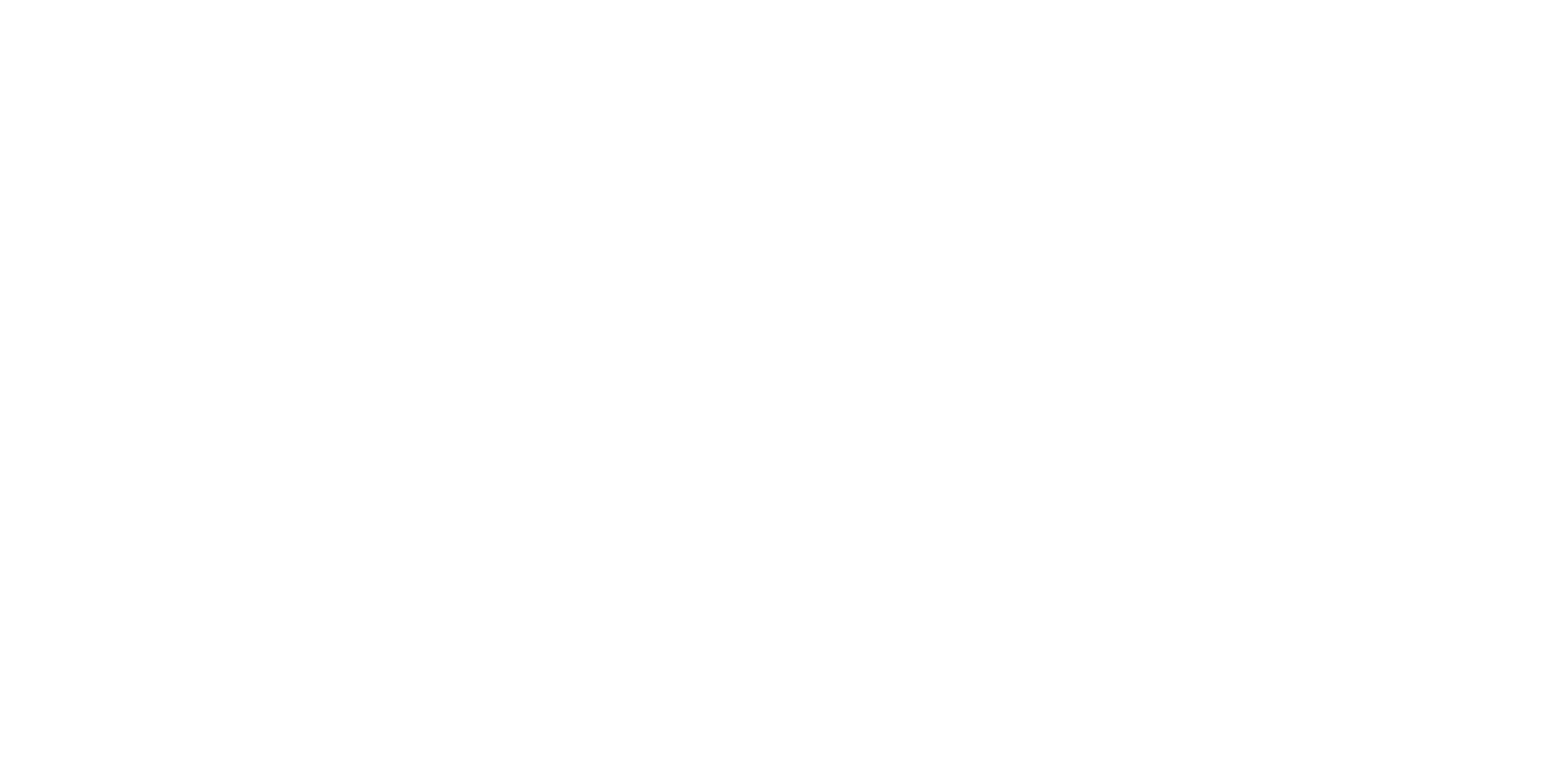 nztrio logo white