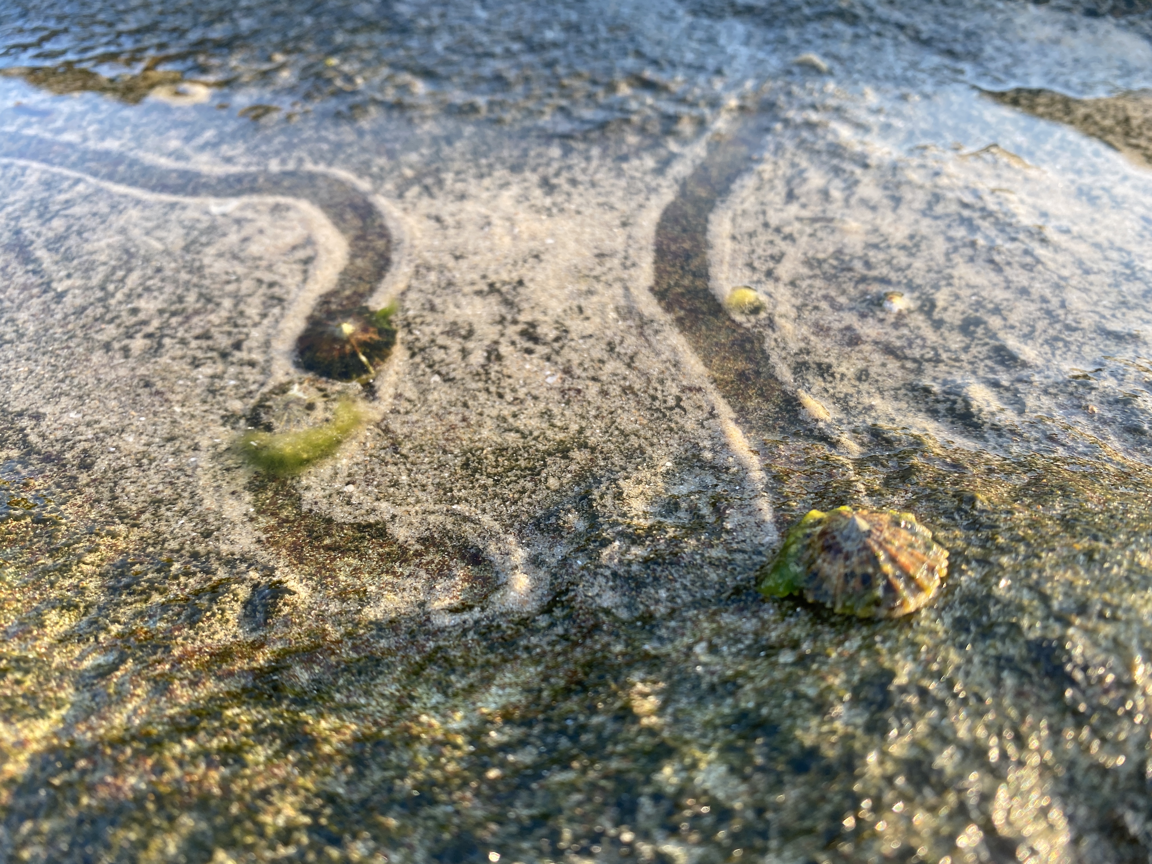 C77C9924-0A87-4E00-AC6C-0C170AC6B0CC