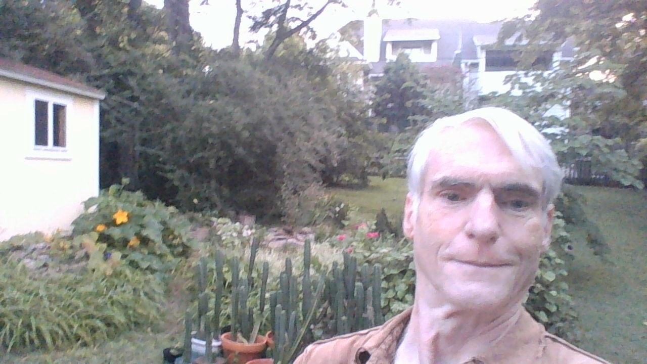 Backyard 2020 number 2