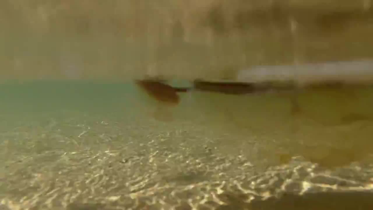 Still #5 From Video #35135