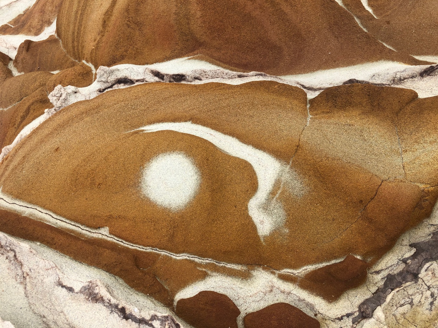 6EACE17C-7CD1-4E67-8FDE-06E9804FDF7F