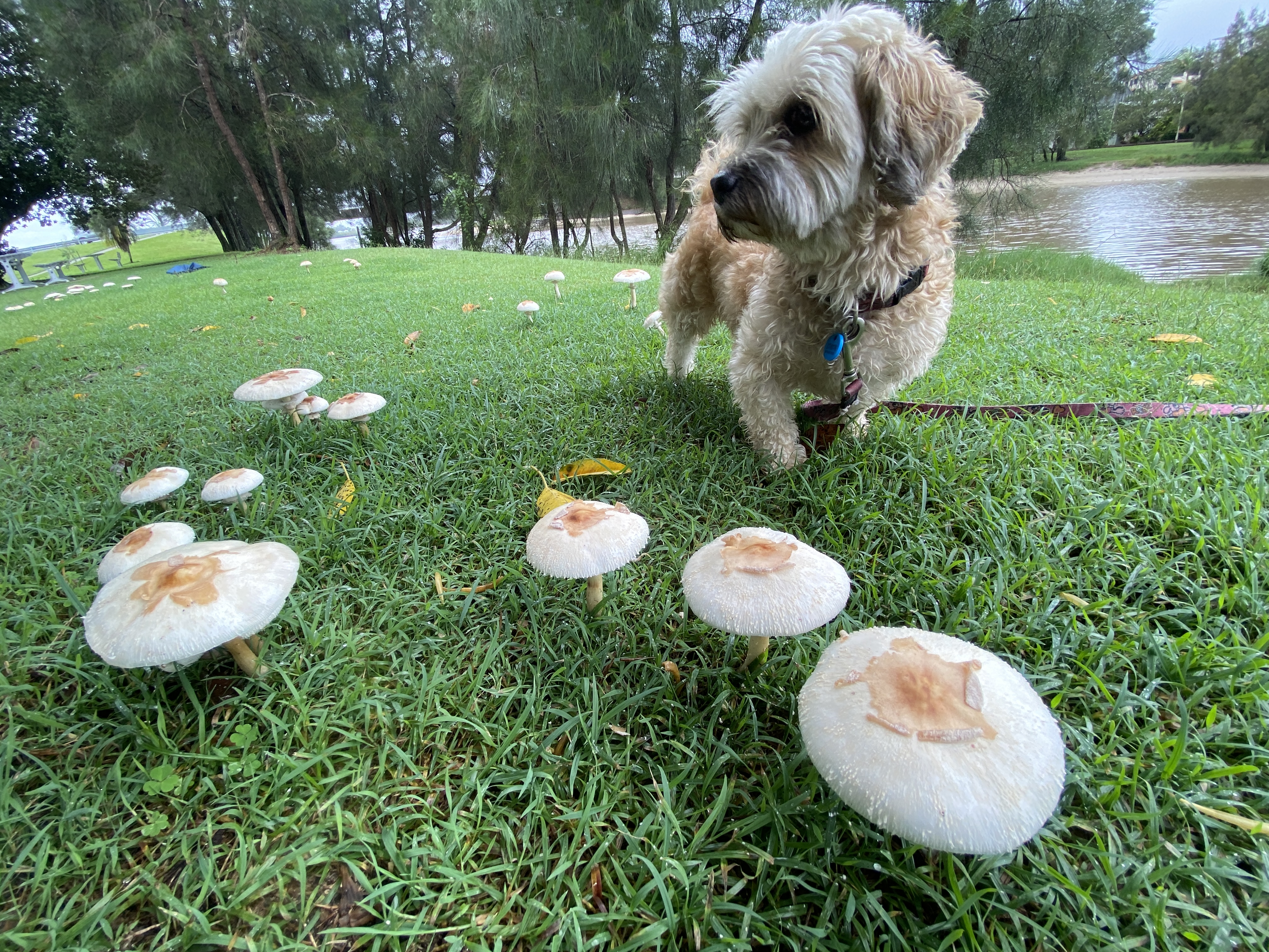 557D098B-284D-4D99-846A-48754D1EDE6E