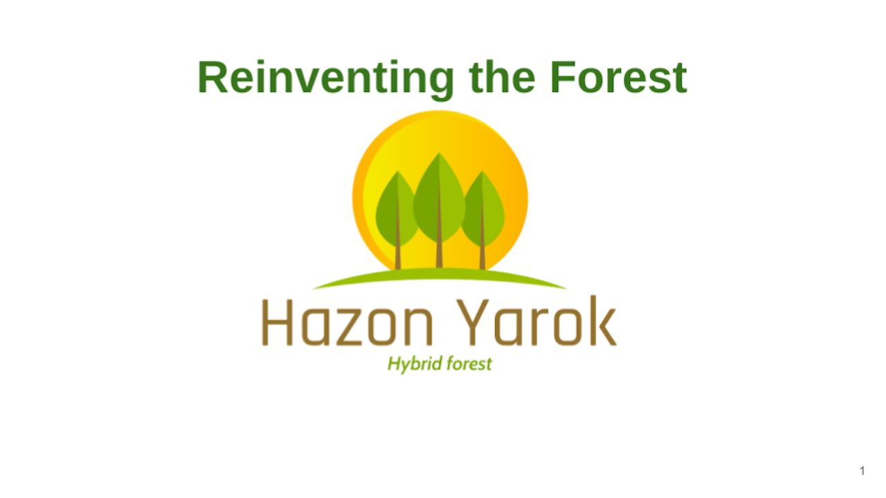 Copy of Copy of HY Final Presentation Version 2