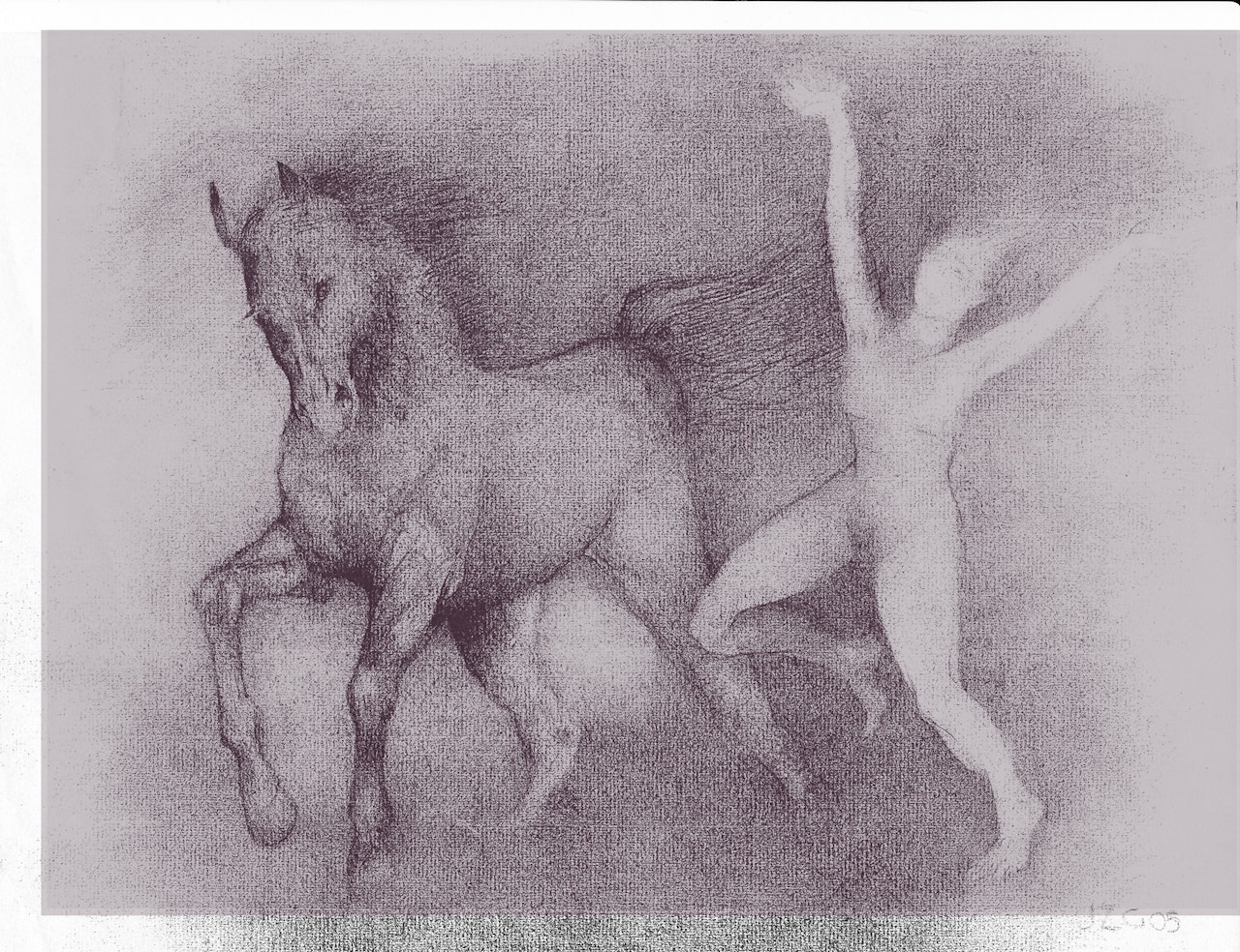 horse