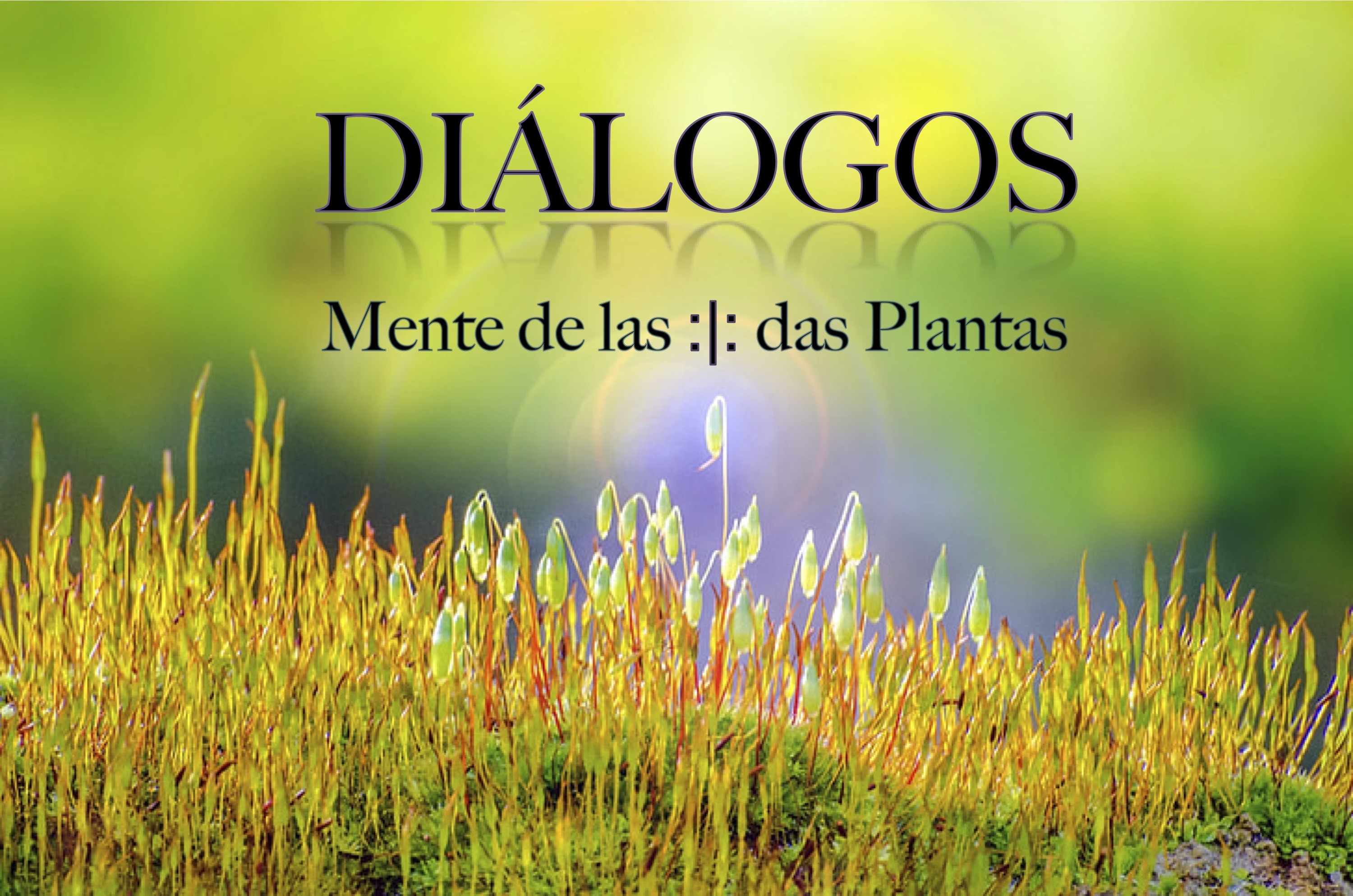Dialogos banner