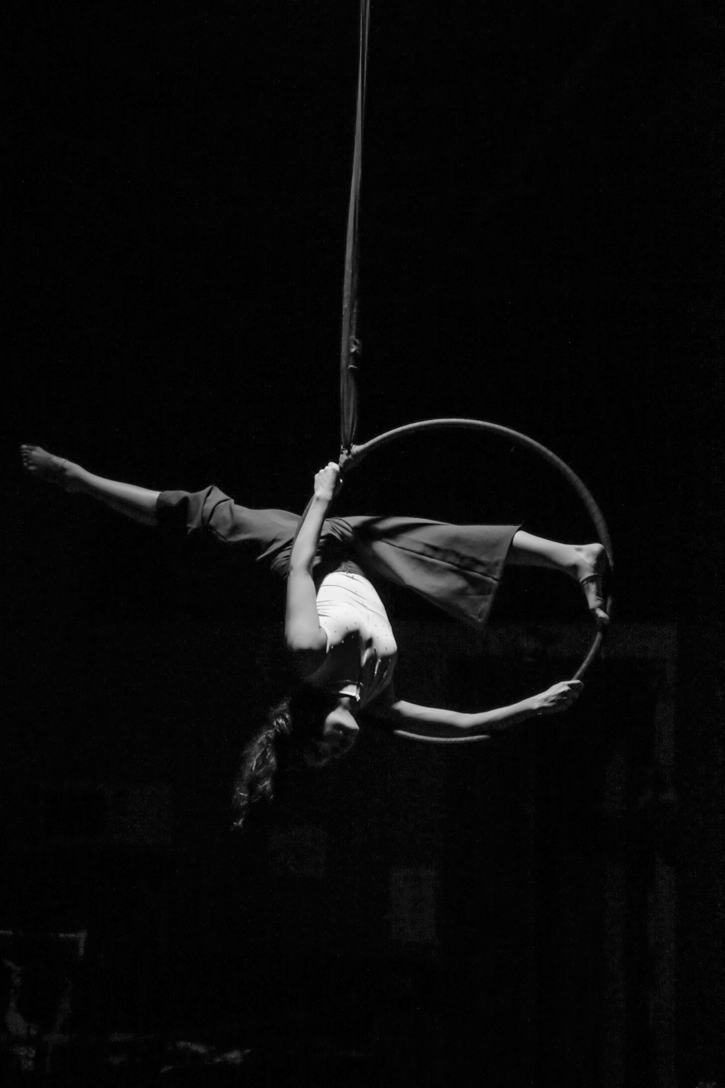 Lyra - B&W Split - Josie