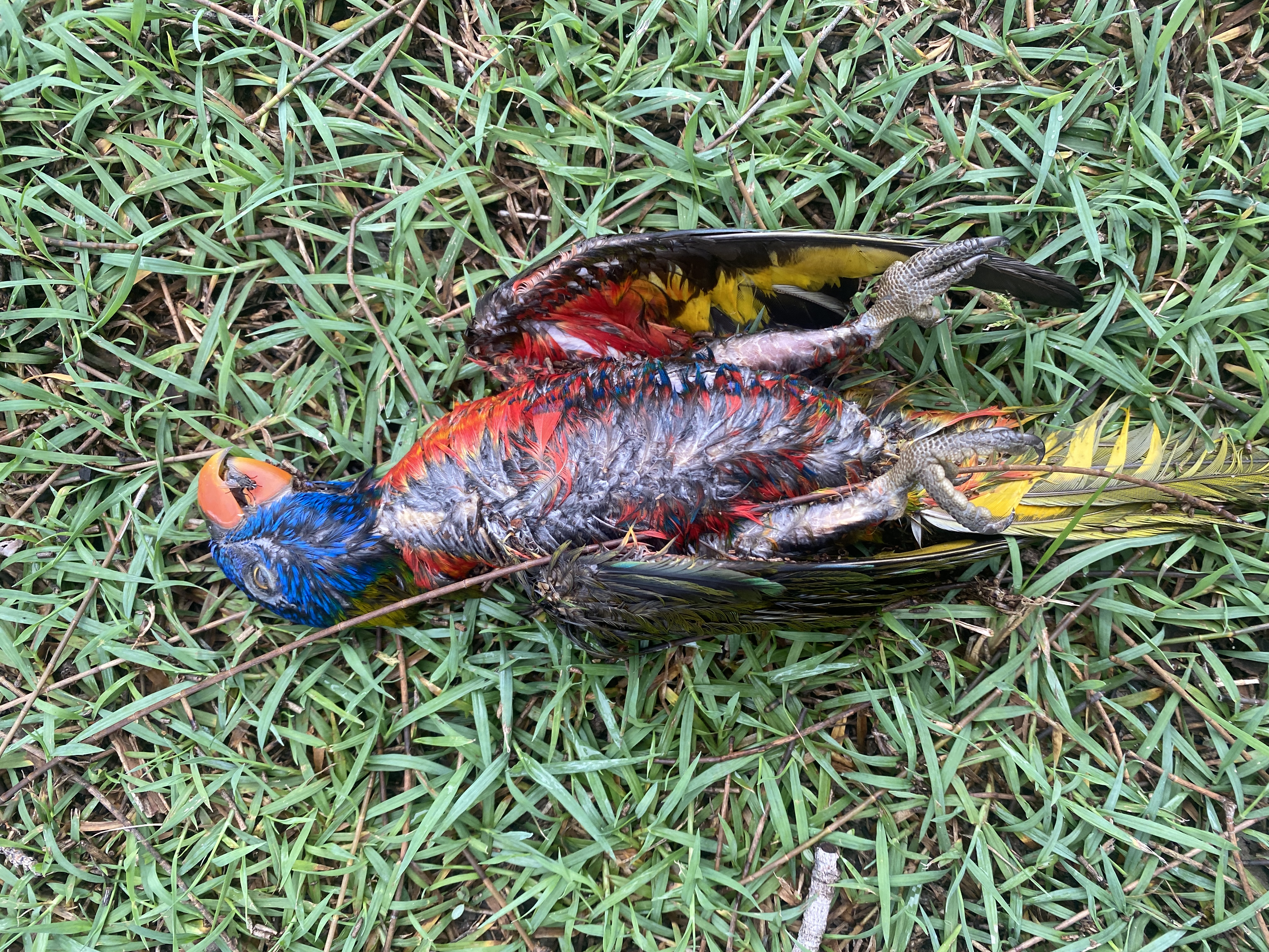 E9E48CA7-EE6D-4285-A362-383A533F4451