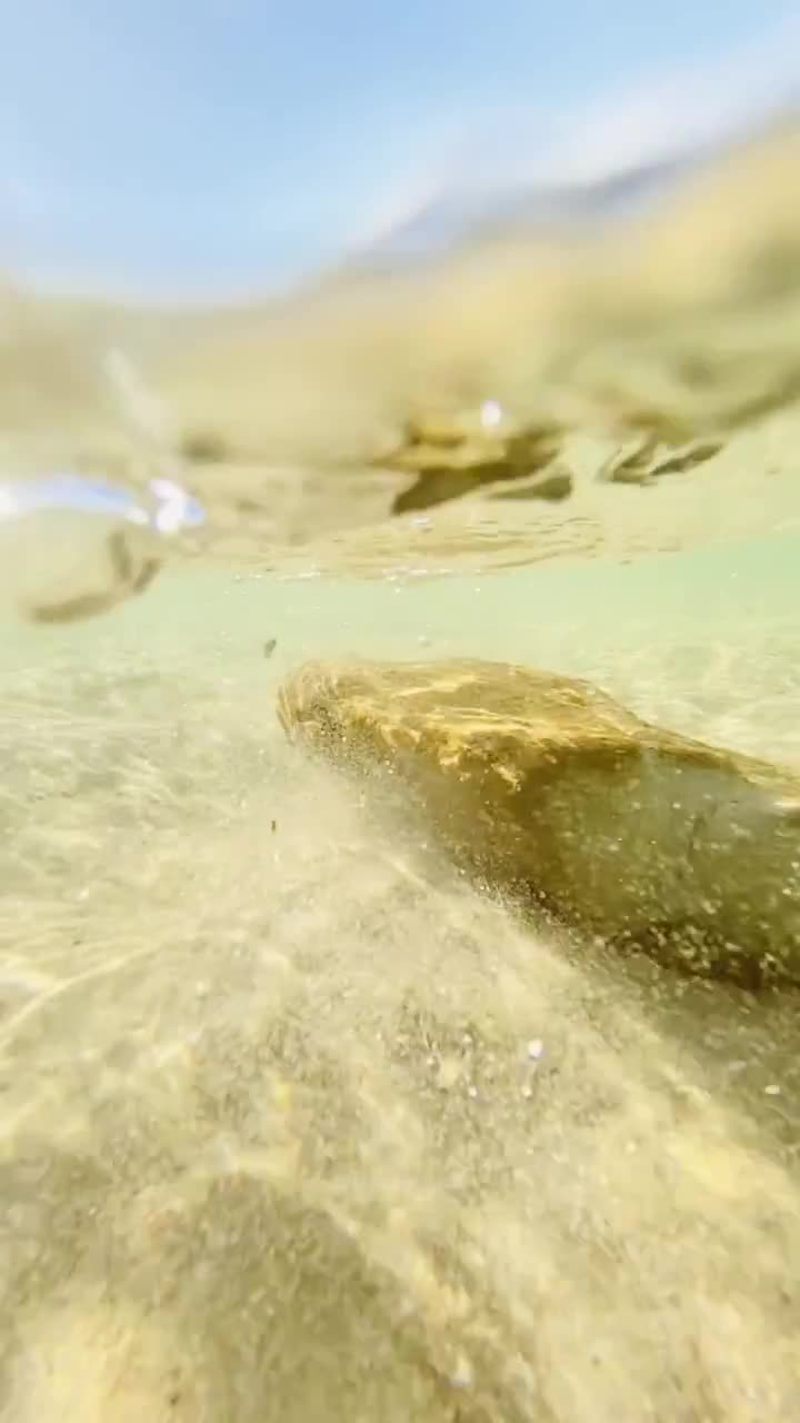 Still #5 From Video #35295