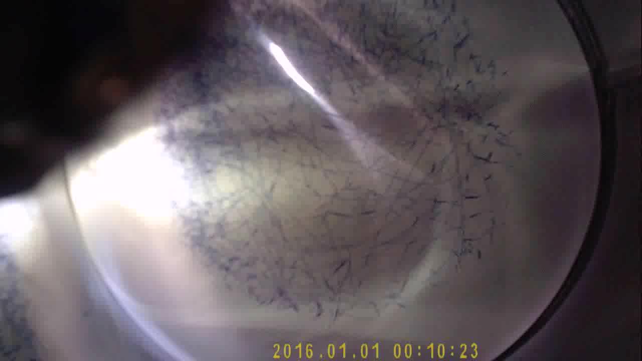 Still #2 From Video #6050
