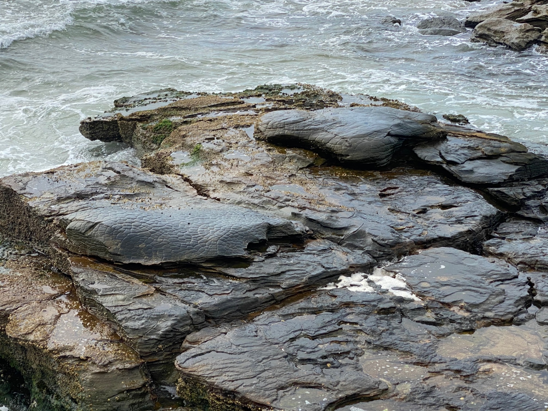 AFB00BAA-8BDF-407B-8A38-BBC2168D2492