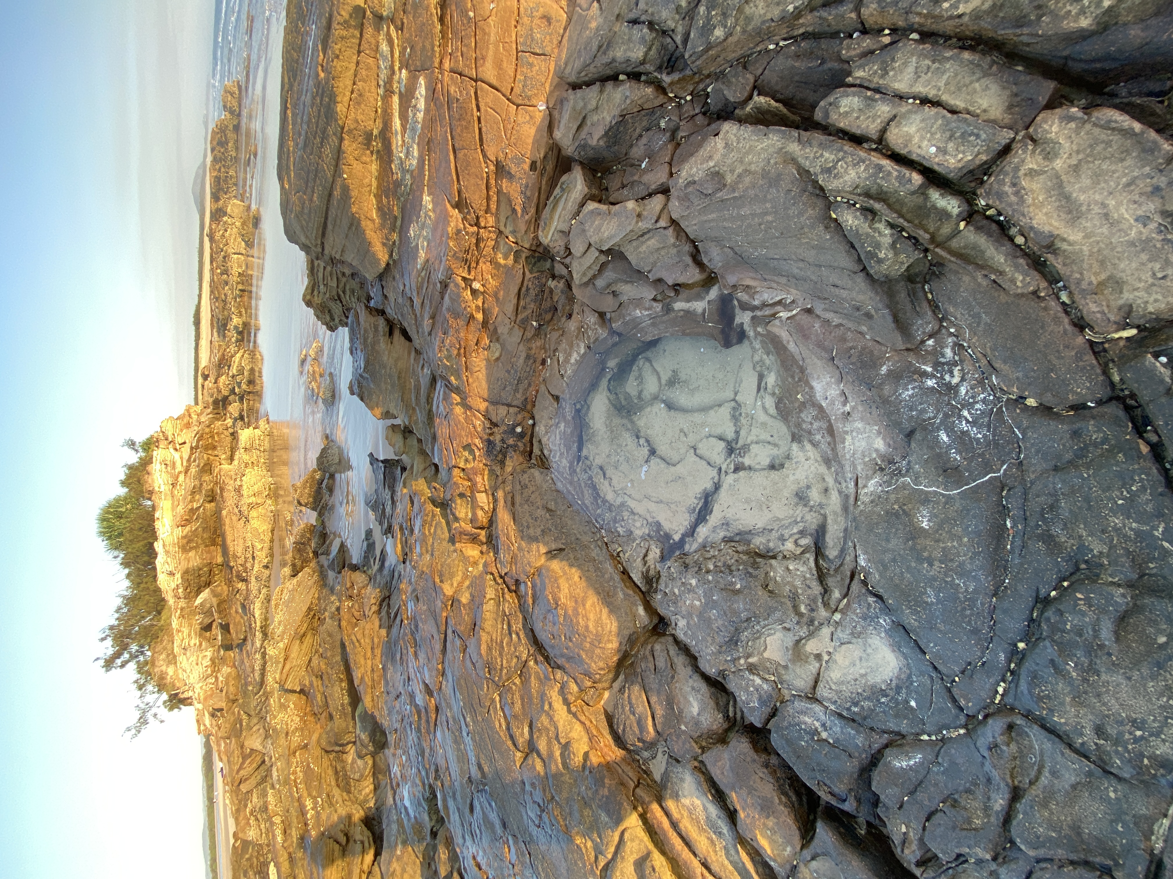 6EDD790A-C8D5-489D-B8CF-84EE8F40FC69