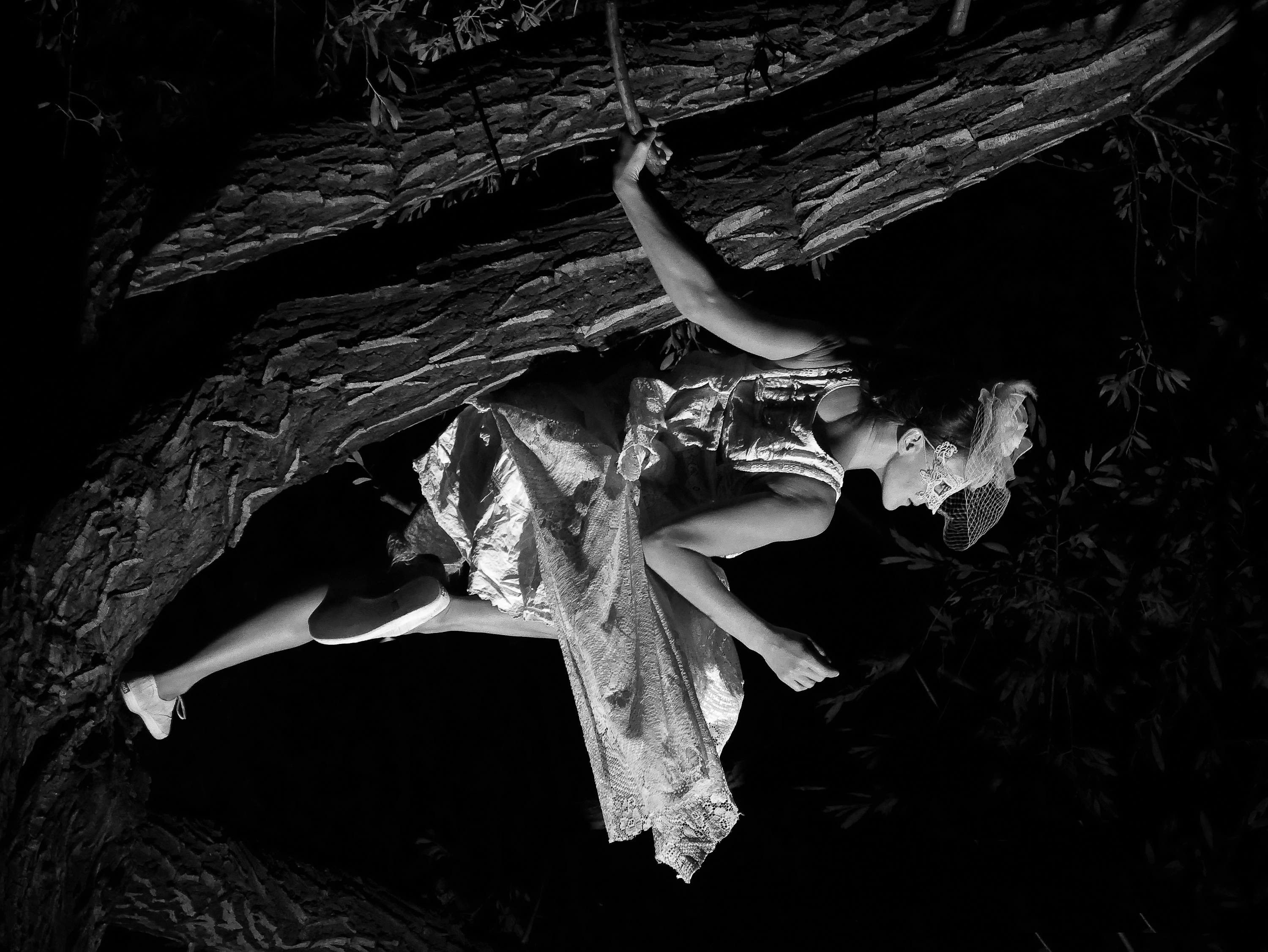 Arboreal Aerialist (Festival of Colour) 1