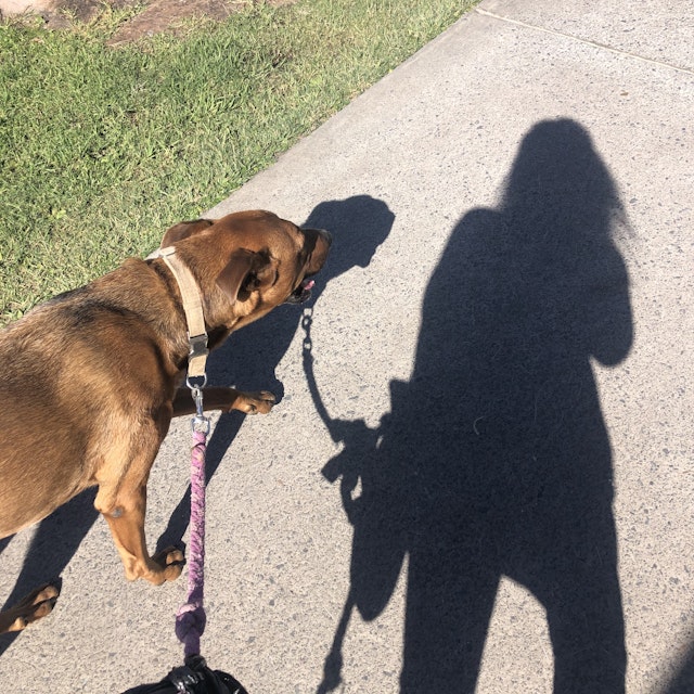 5ECA066B-85F5-4A51-B22B-3EE4B7050095