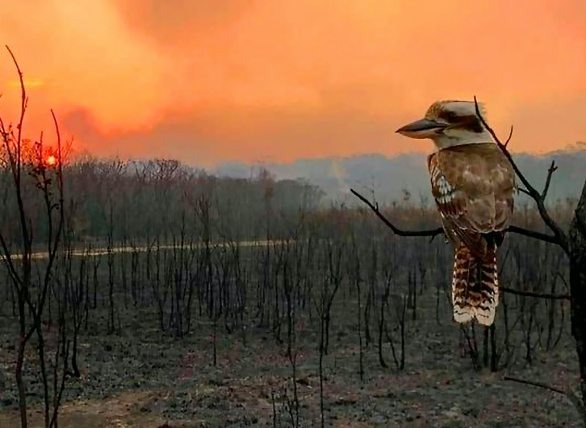 Summertimecoverfinal small