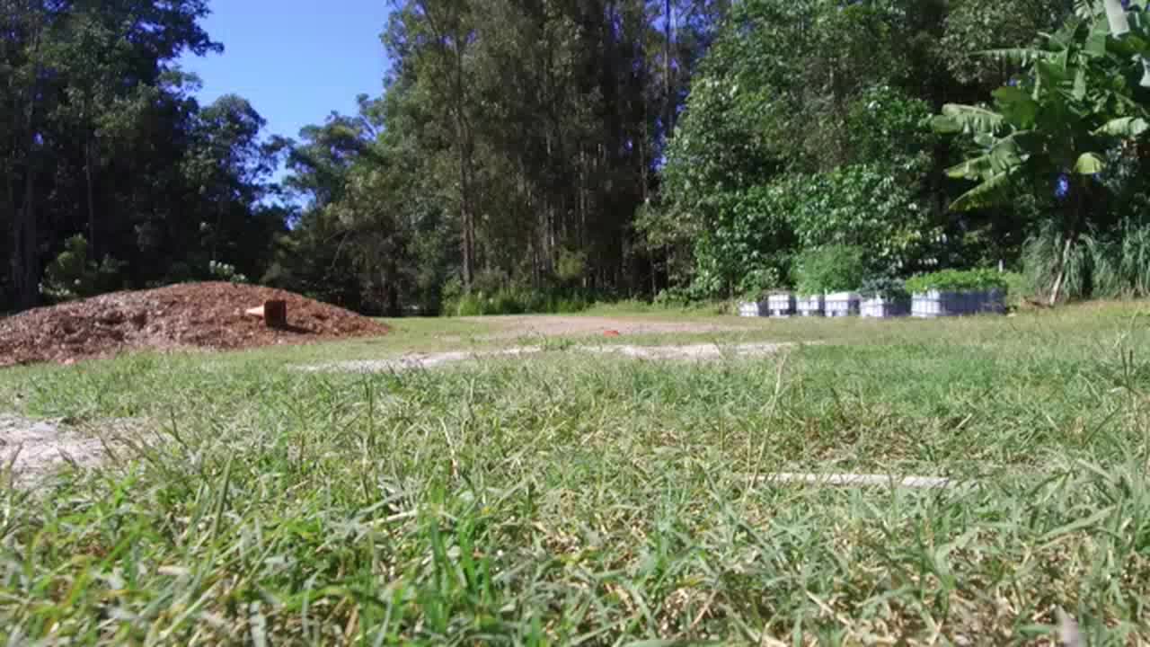 Still #1 From Video #16203