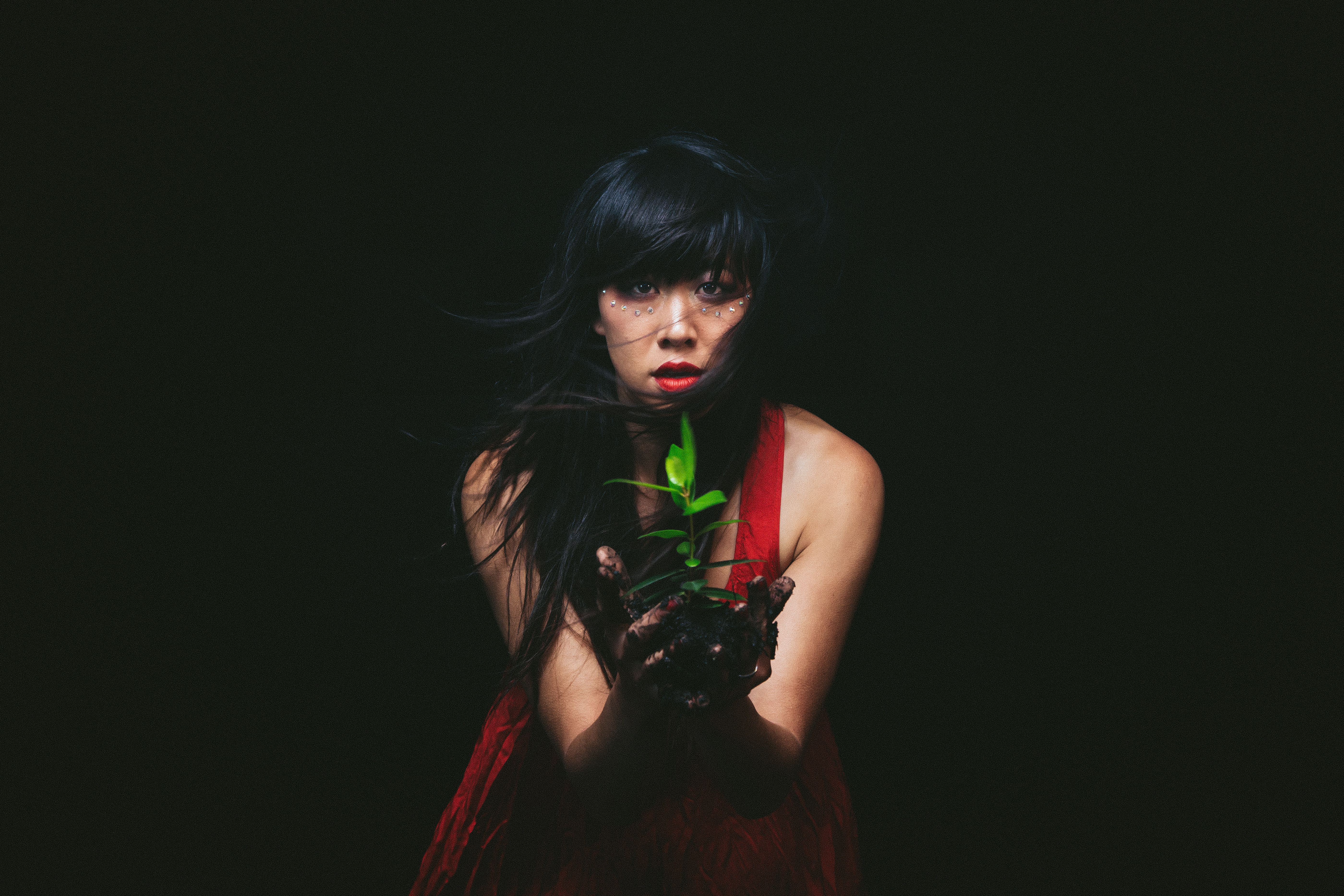 SOLO LOVE LIVES HERE by Nick George