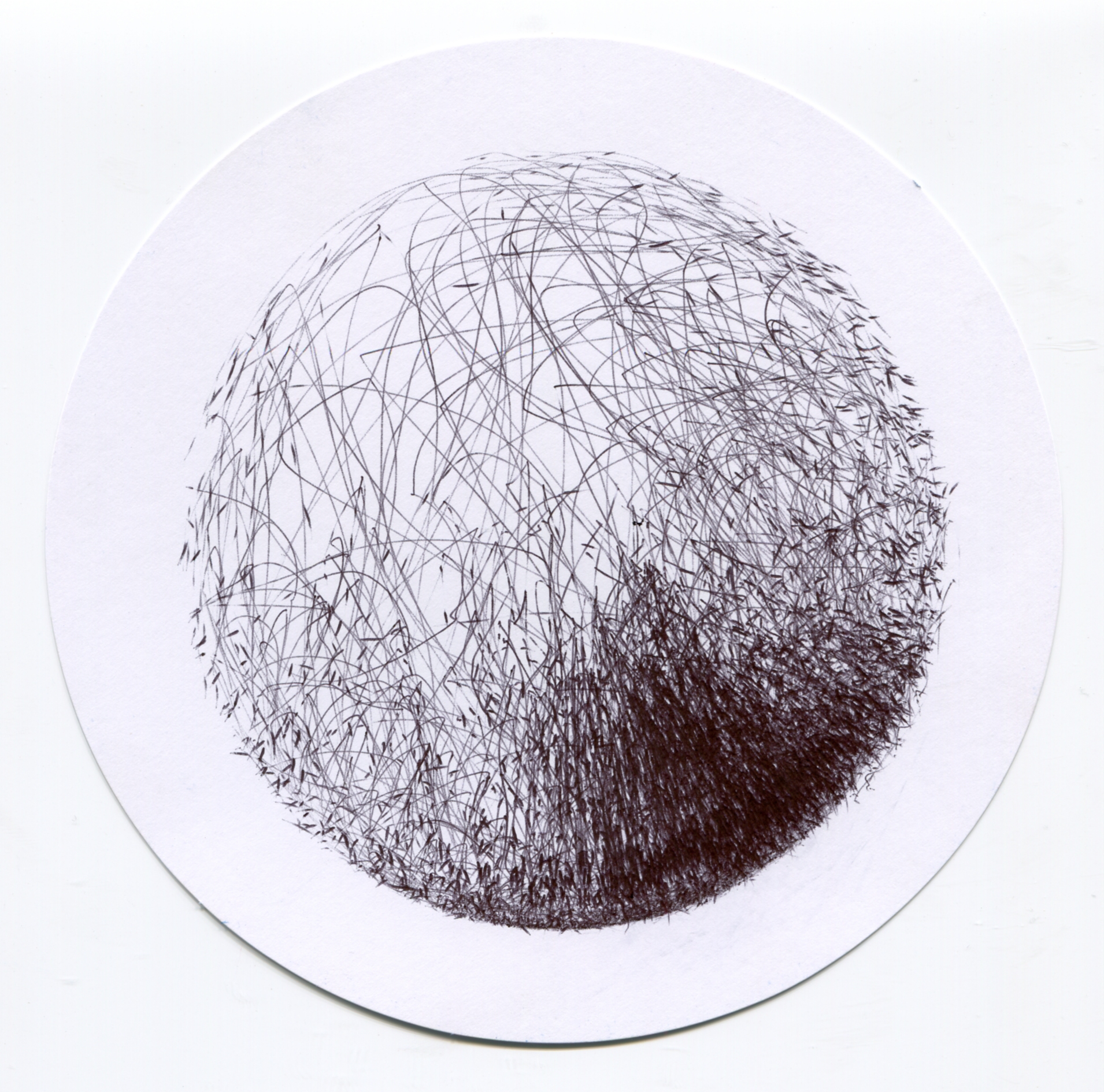 Steve L tired to back of shorts