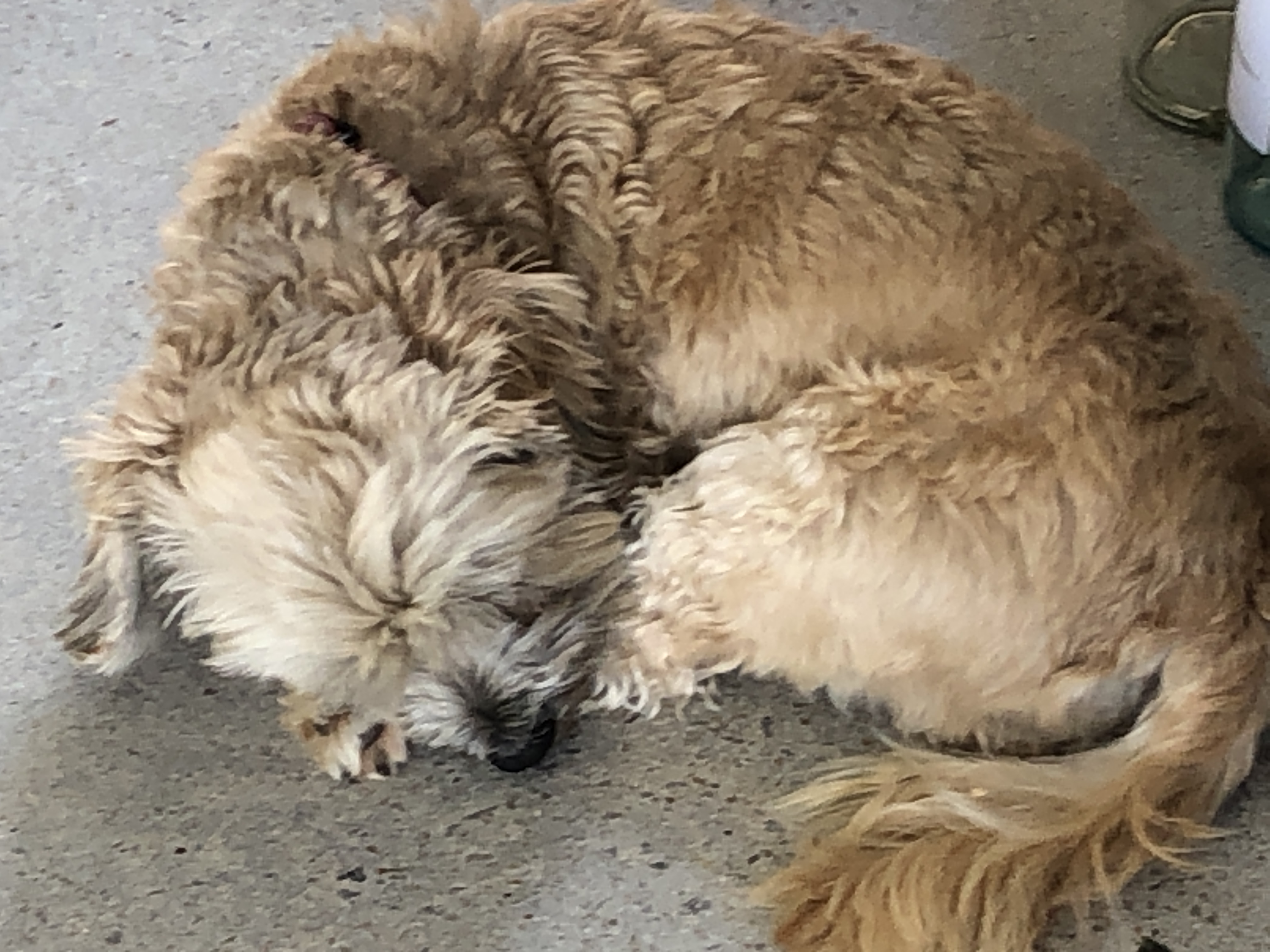 6C352D3F-C4DA-407B-AE56-8925EAE143A3