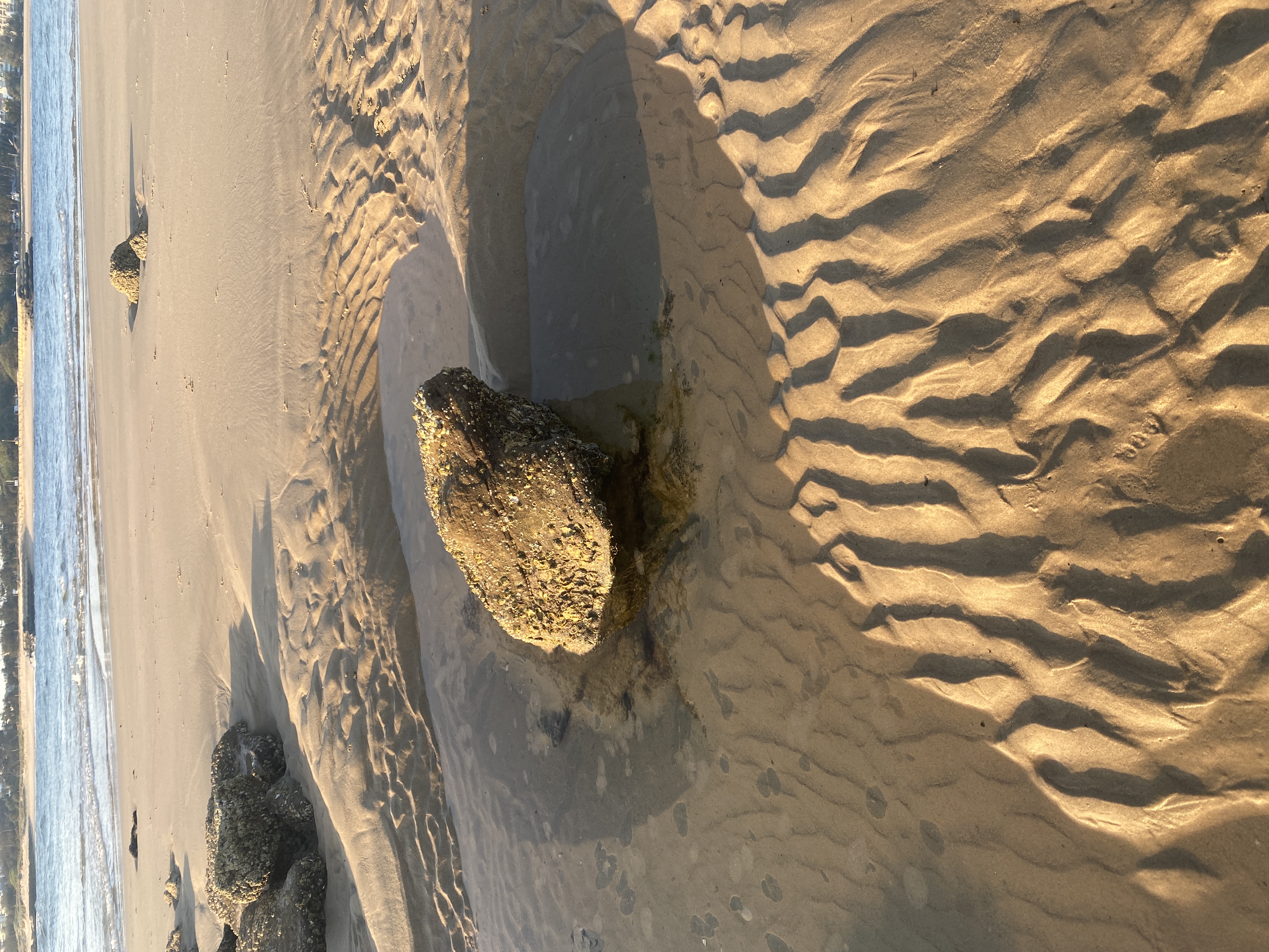 1BBC7B66-3791-4317-8436-09046DF10DCE