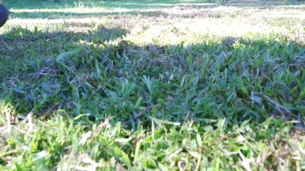 Still #6 From Video #16197