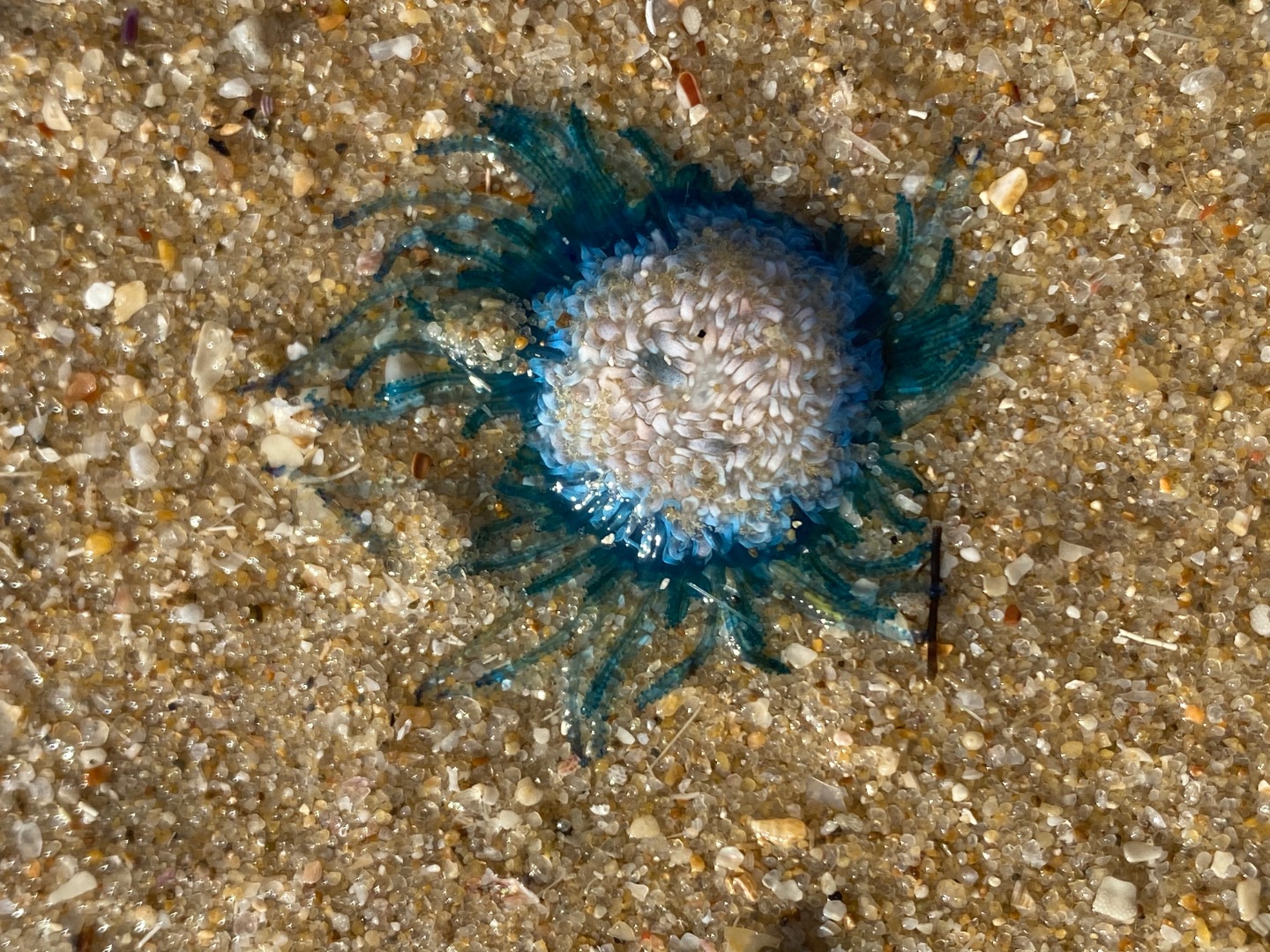 F57A1C35-BCDF-465E-B8CC-120F741FABEA