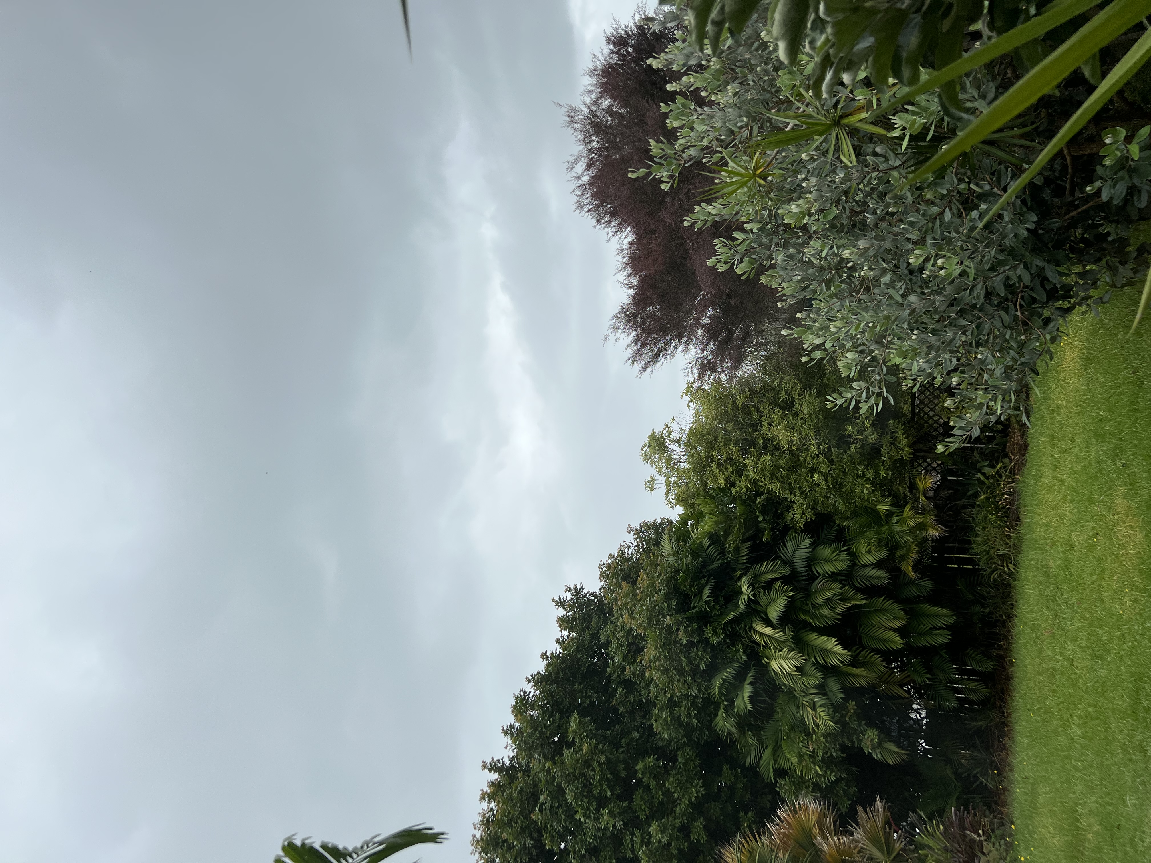 Kerikeri skies