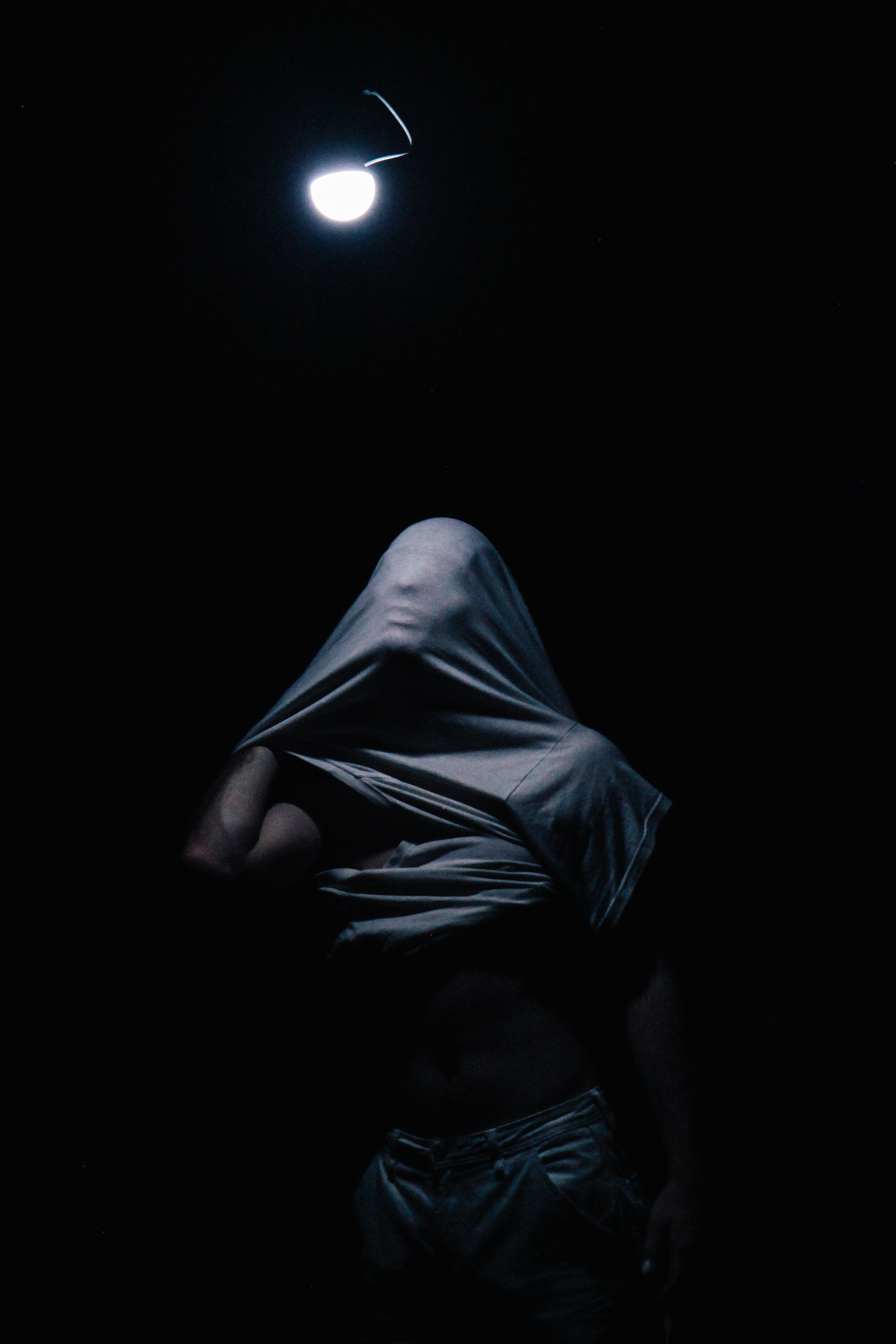 11. Only Bones credit Dinosaurtoast 1391