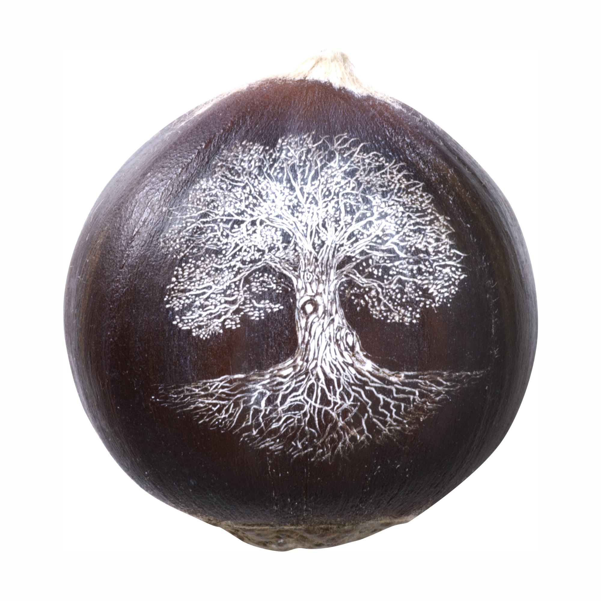 Chestnut tree of life