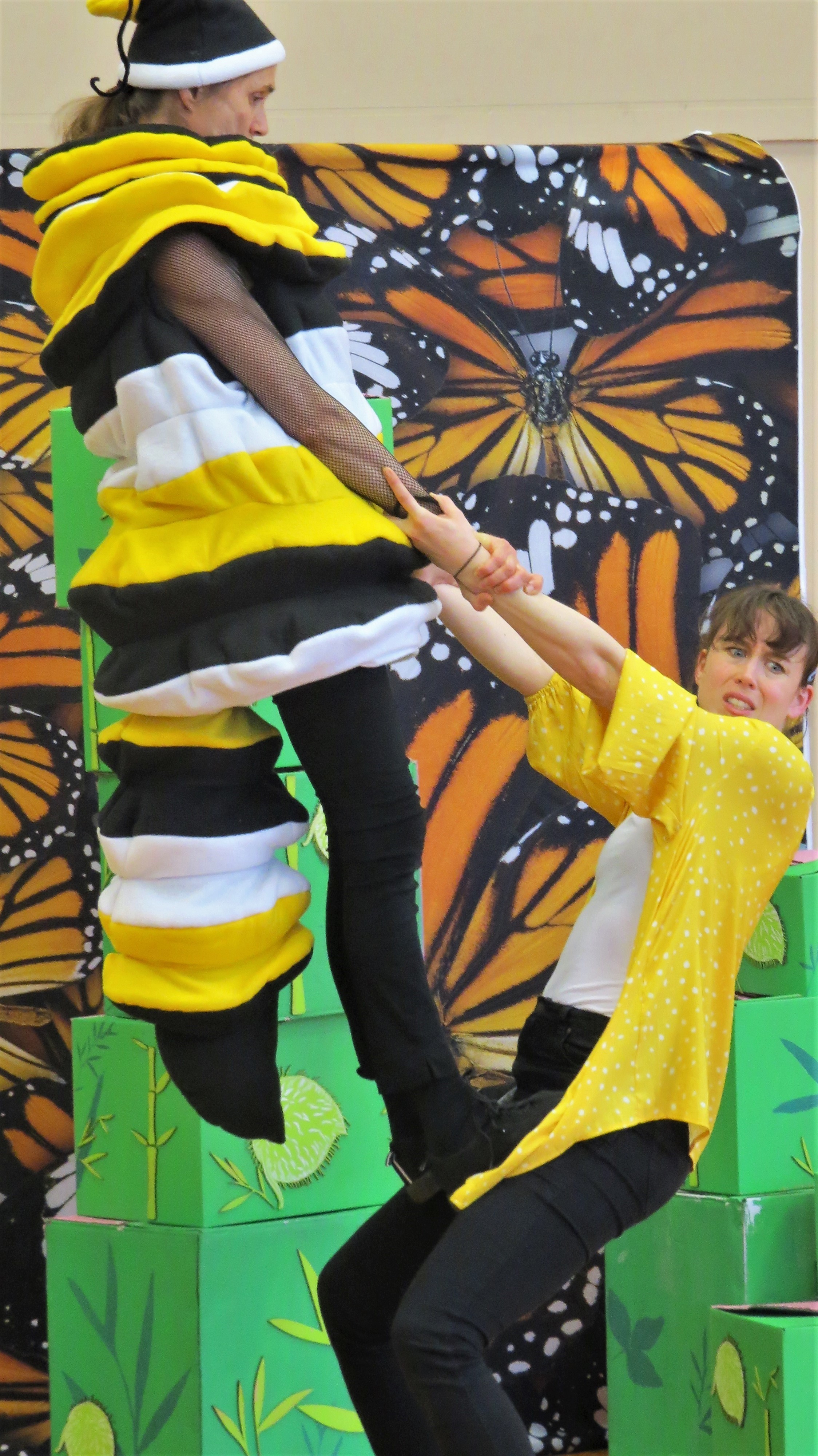 'Monarch' show photo