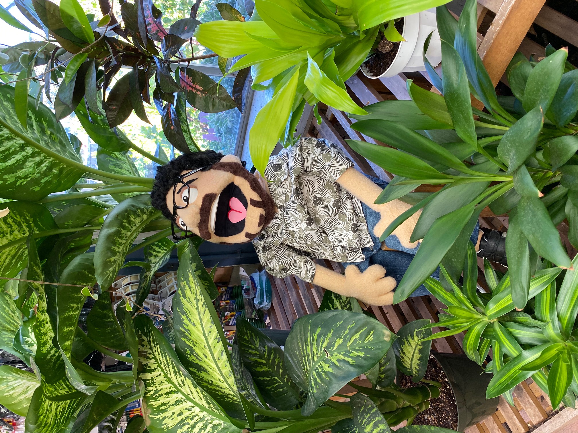 puppet_foliage