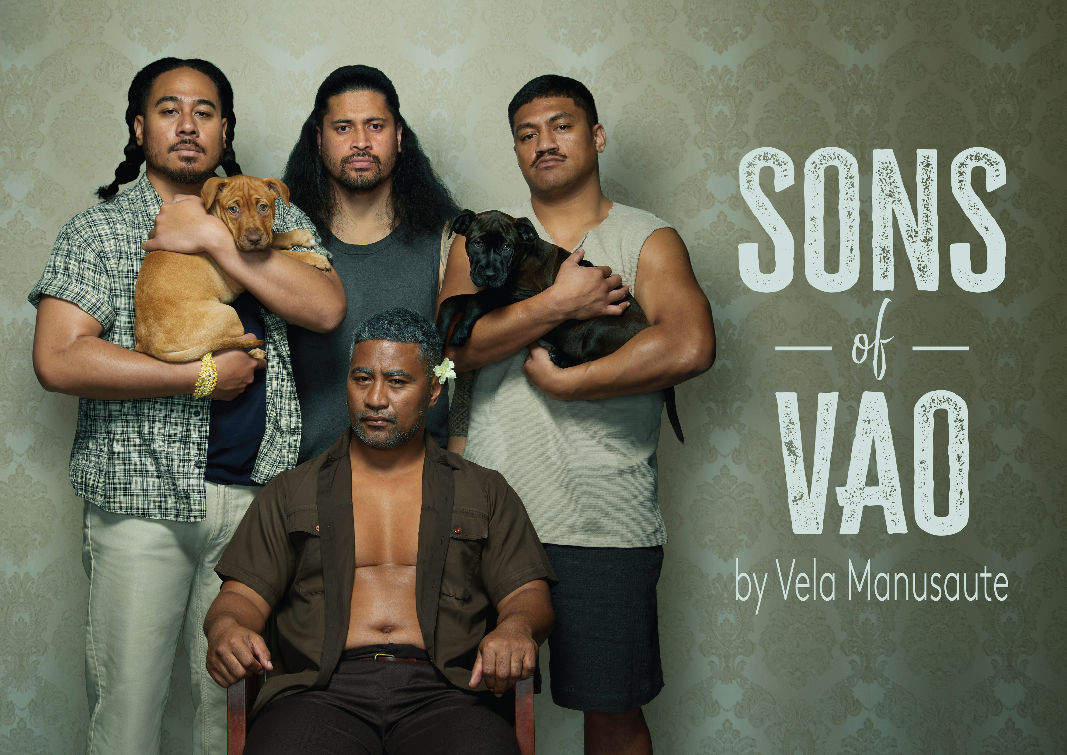 SonsOfVao_Press_Hero_A4_Landscape_Title