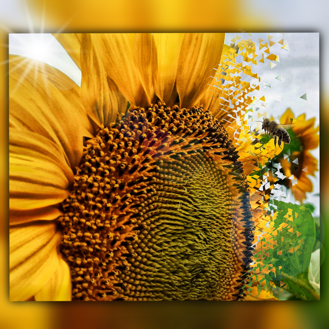 PicsArt_07-27-01.35.52