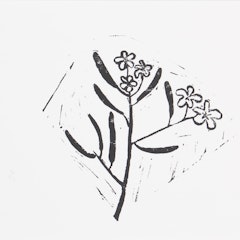 Prostate wedding bush_print_borderless