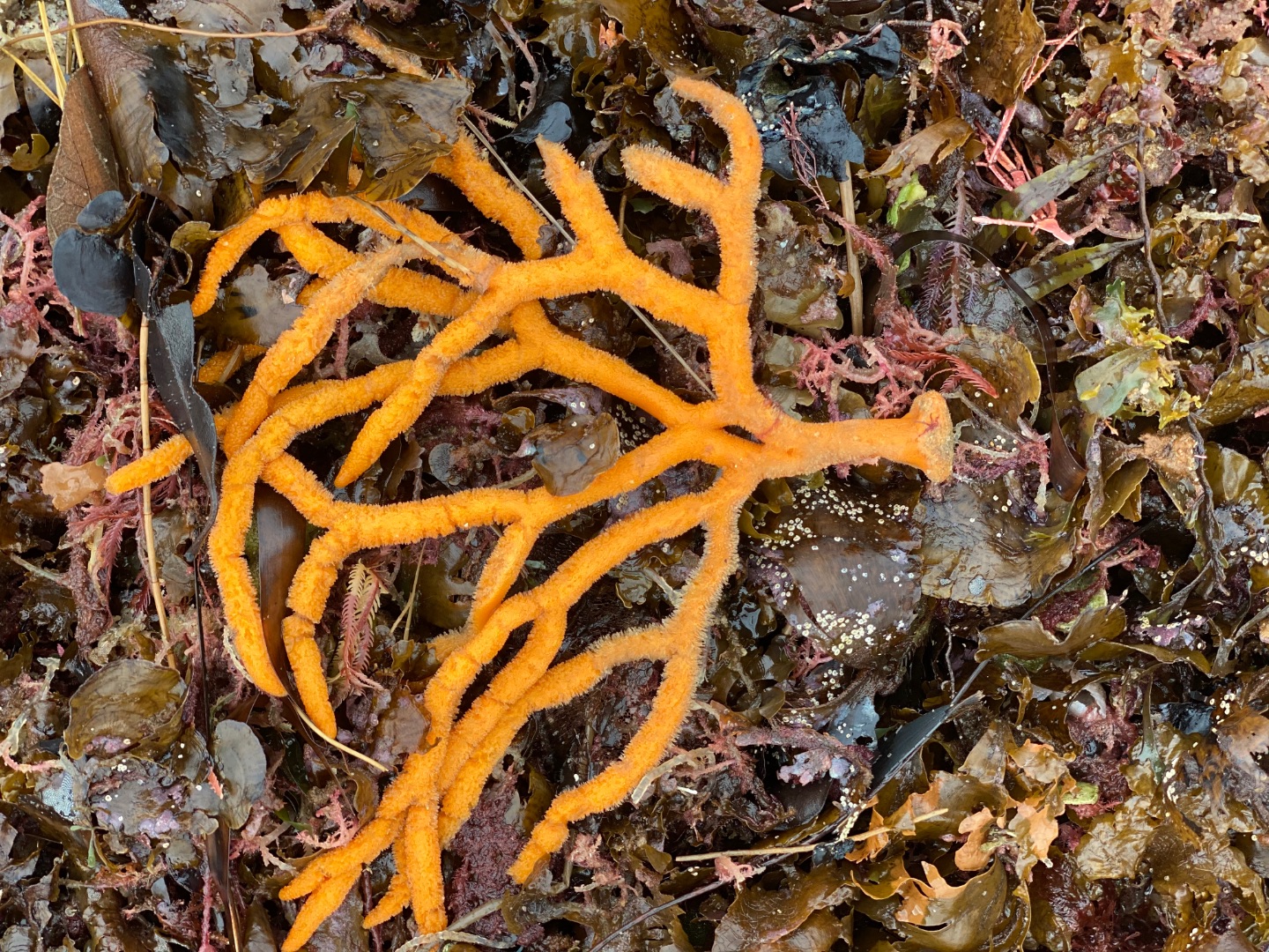 9E8141E6-904F-4E9D-878F-C7A3FDB3CCC6