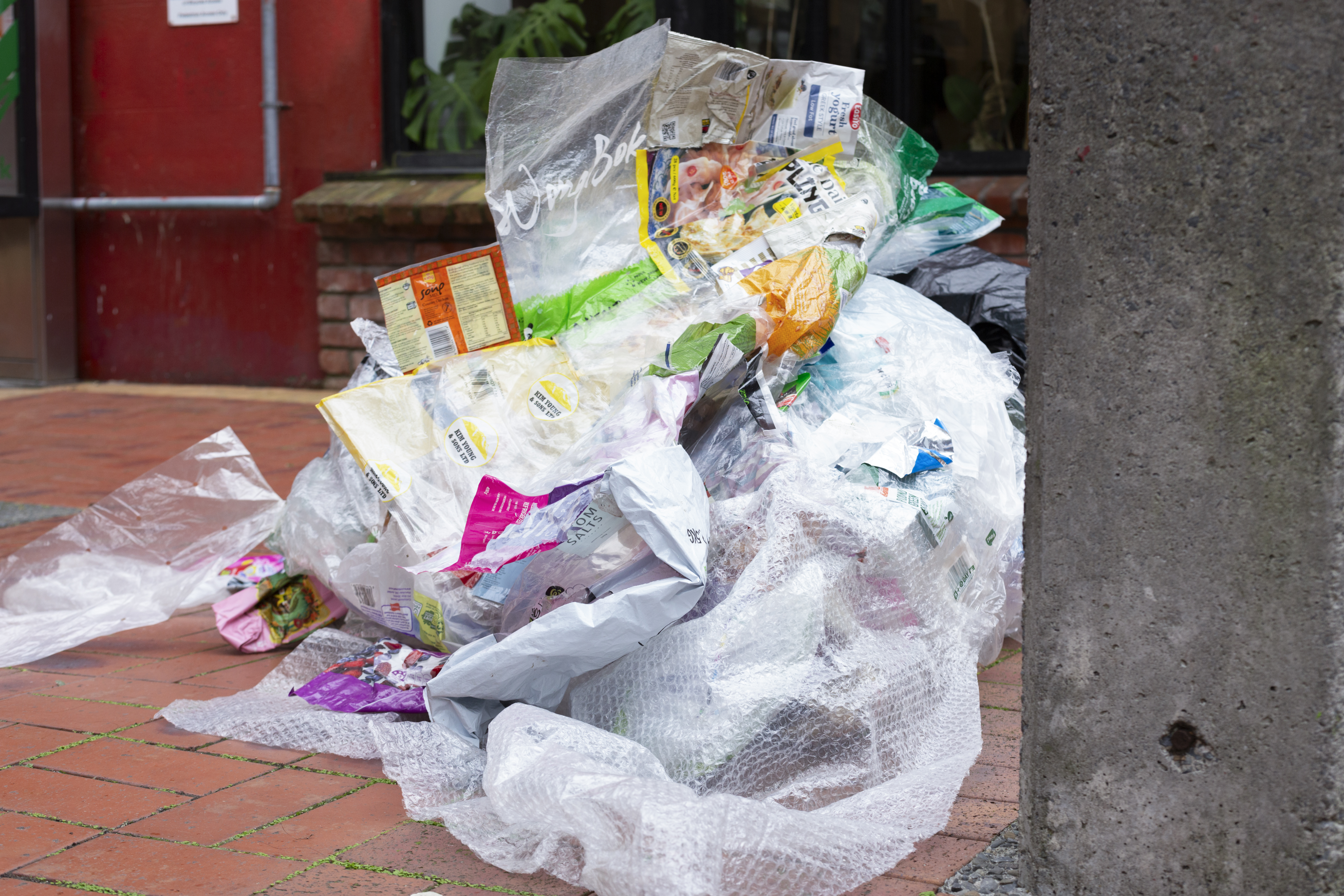 Willa Cameron, Urban Tumbleweed 4, Photo Cheska Brown