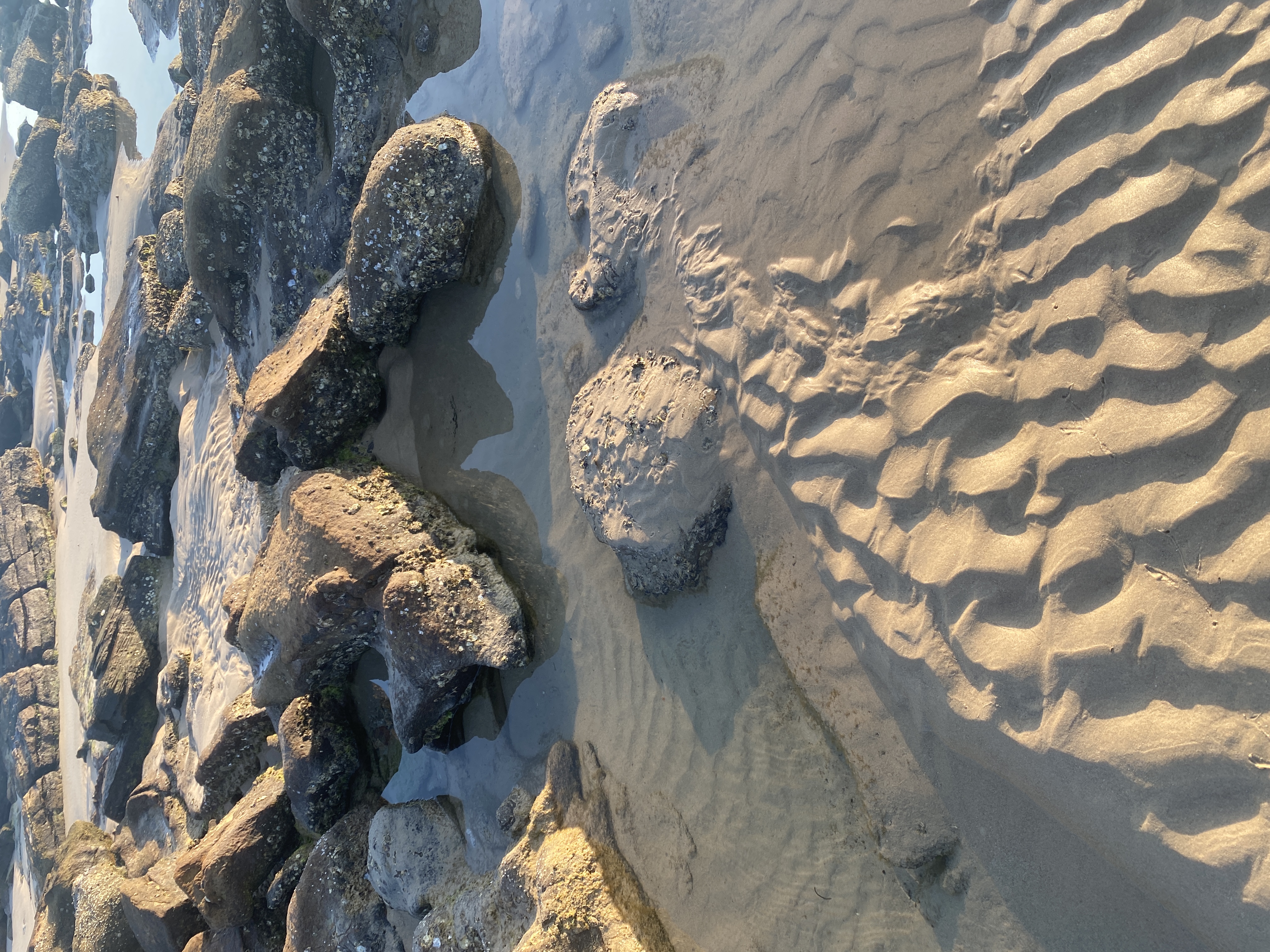 66E74D81-BEA6-44A9-8D3F-3E827CEC60C4