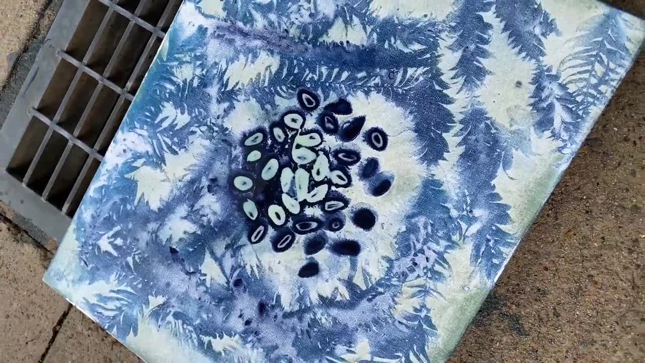 Still #5 From Video #206922