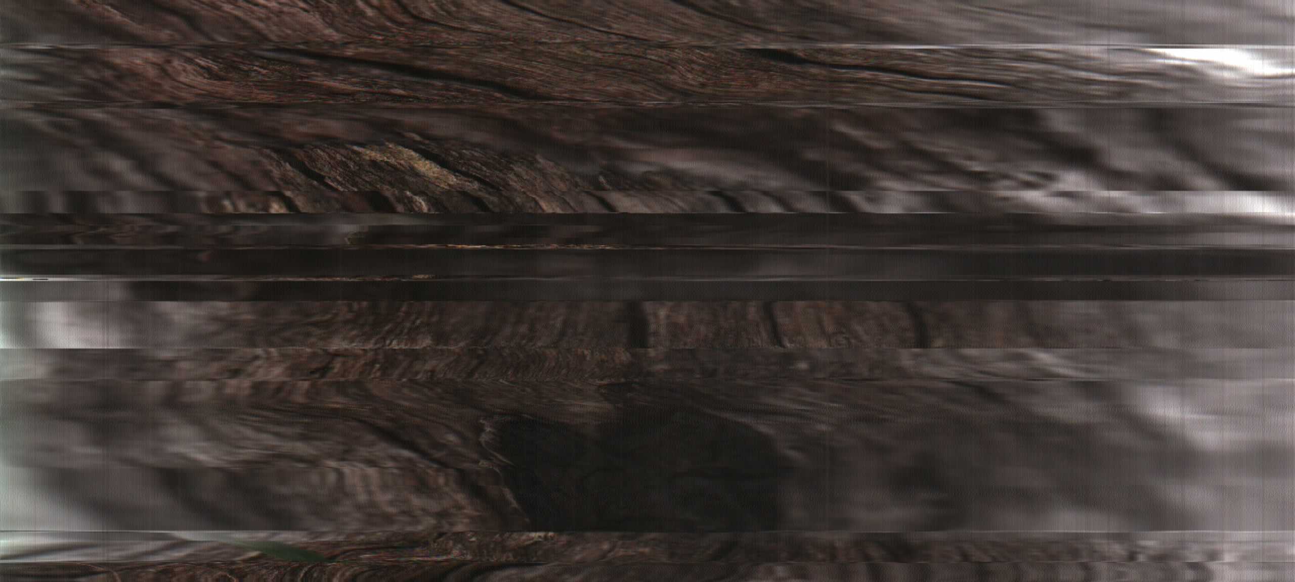 Nature Scans