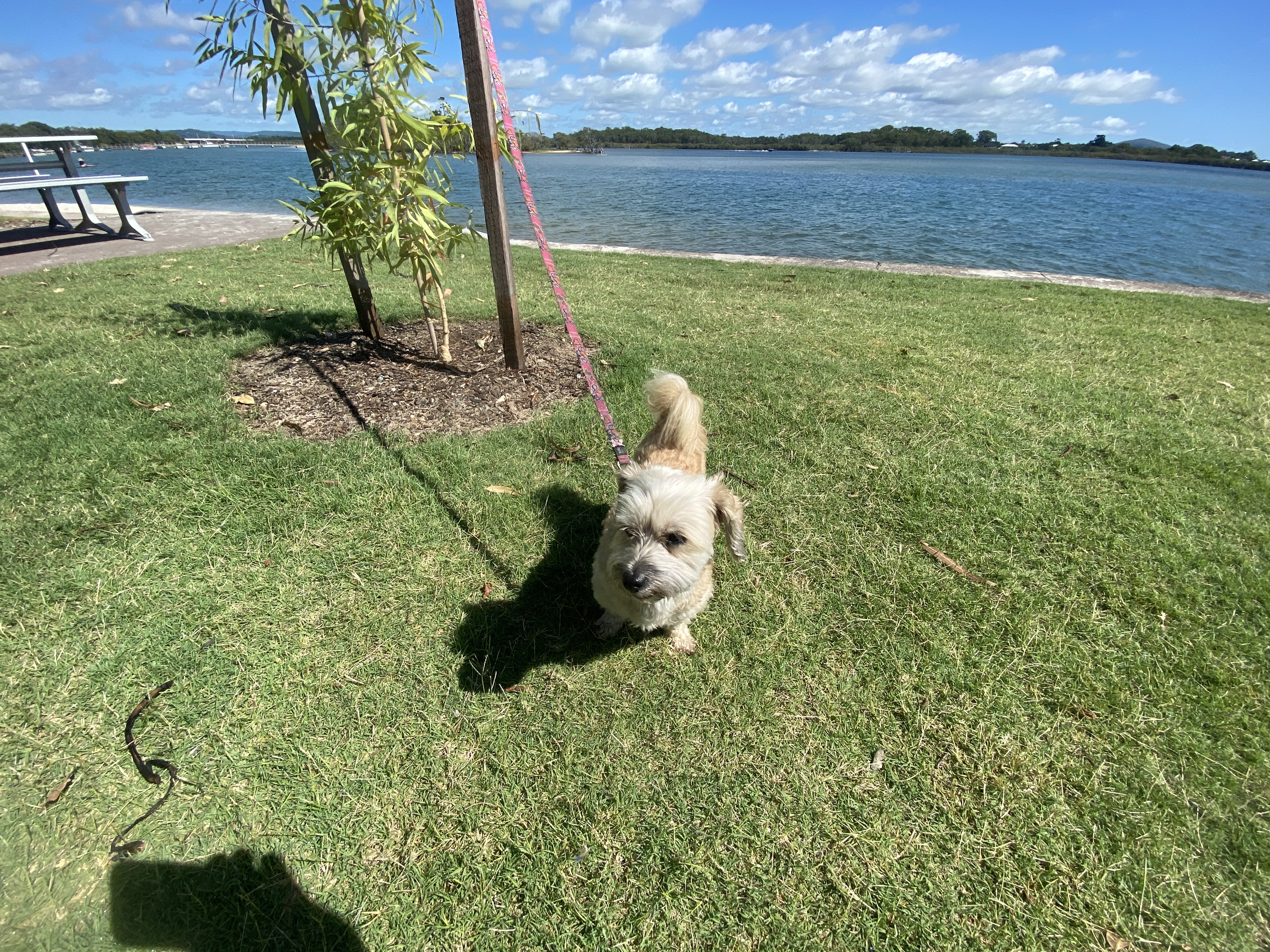 Just enough time for a quick walk and a bite to eat!