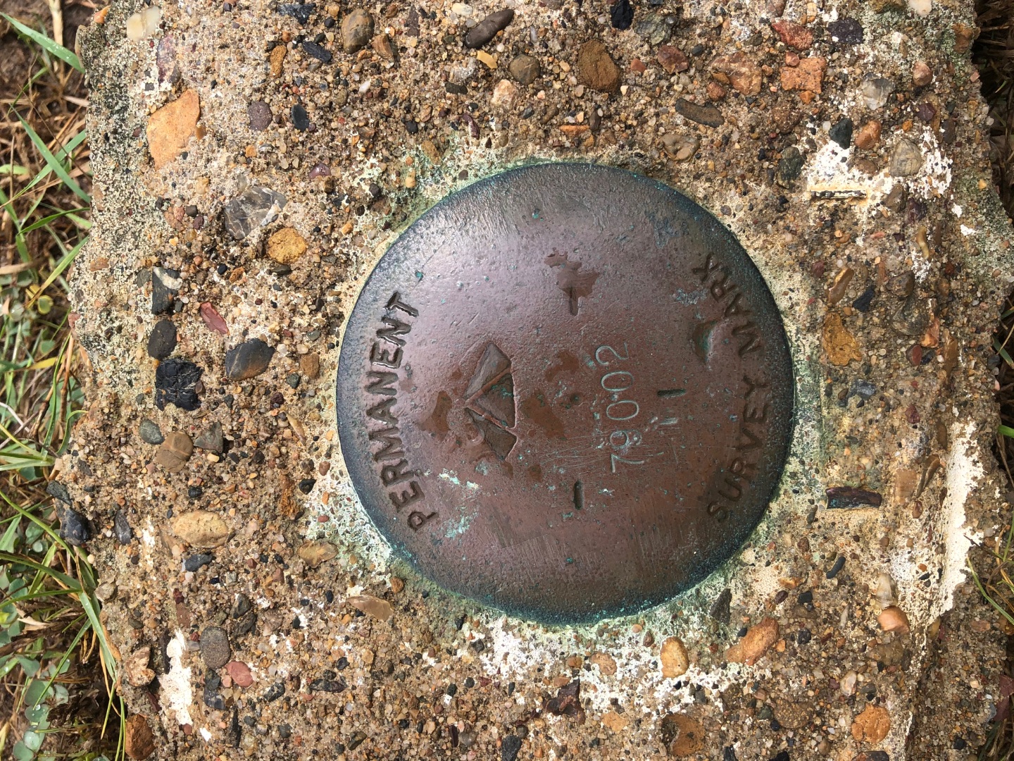 8E74E527-7261-4F64-9853-C4A86B7E4344