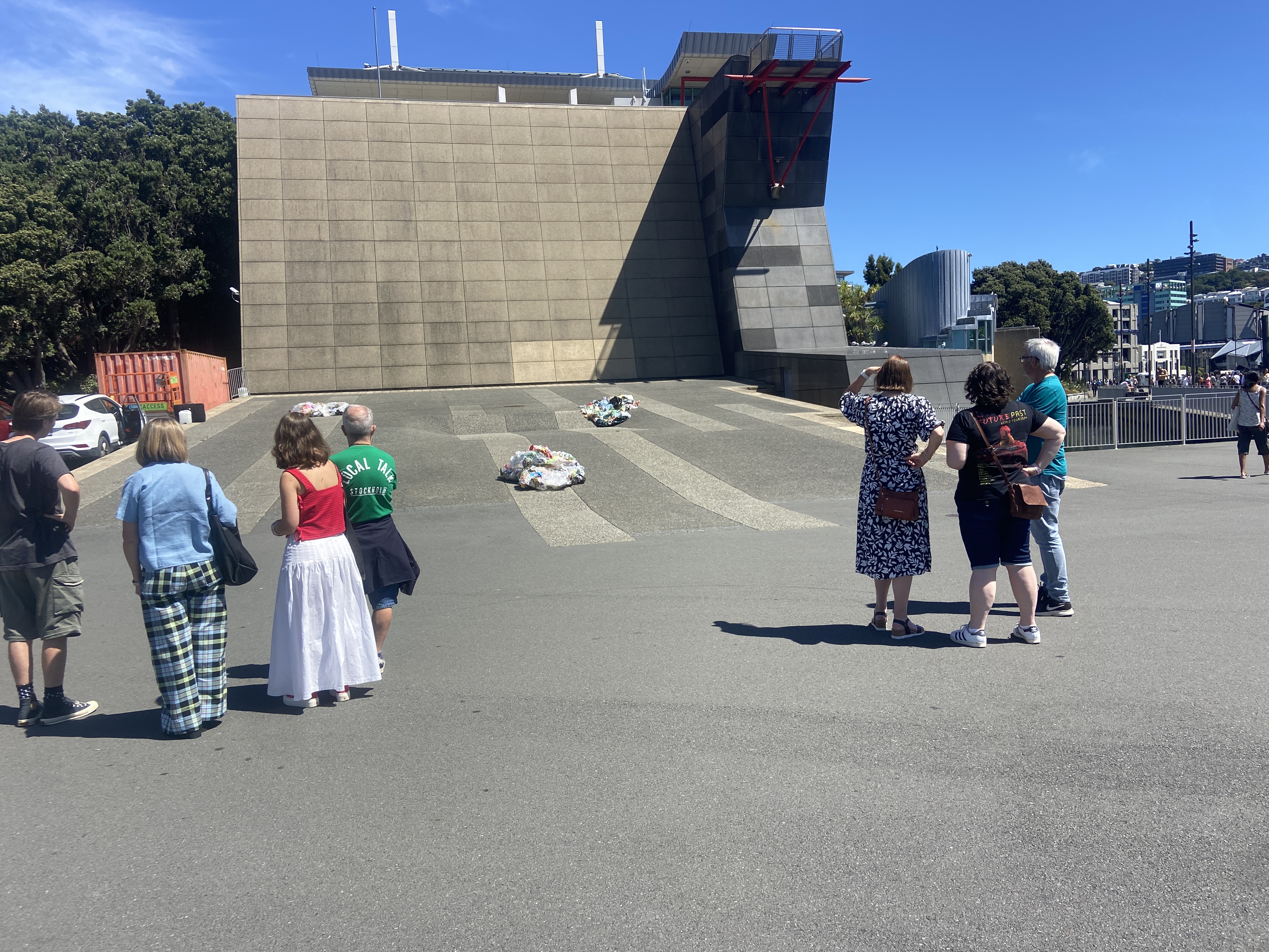 Tepapa sunny wide 7 people 3 weeds
