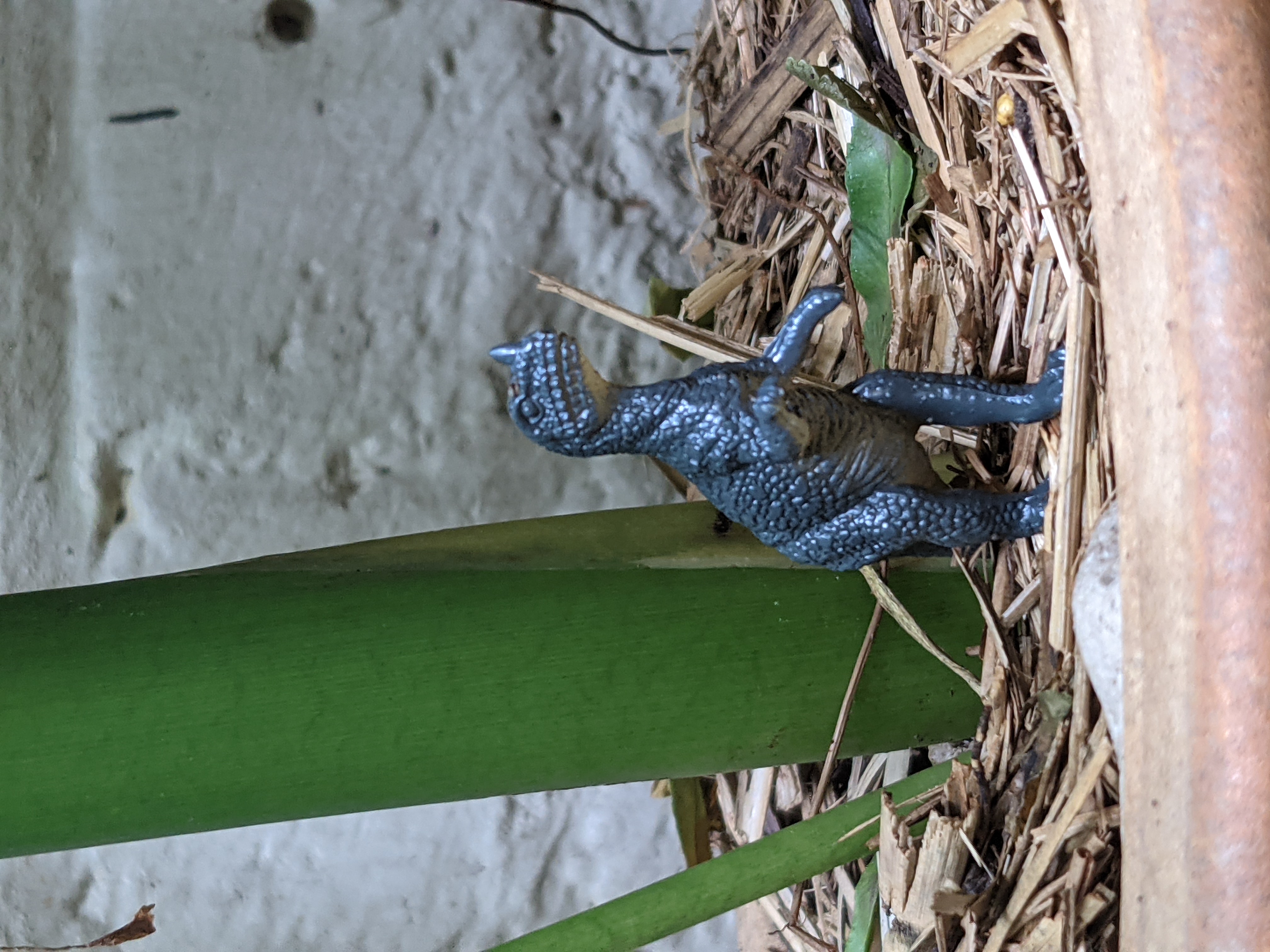 PXL_20210311_005235459