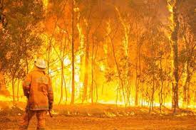 Queensland Fires and worker 2024