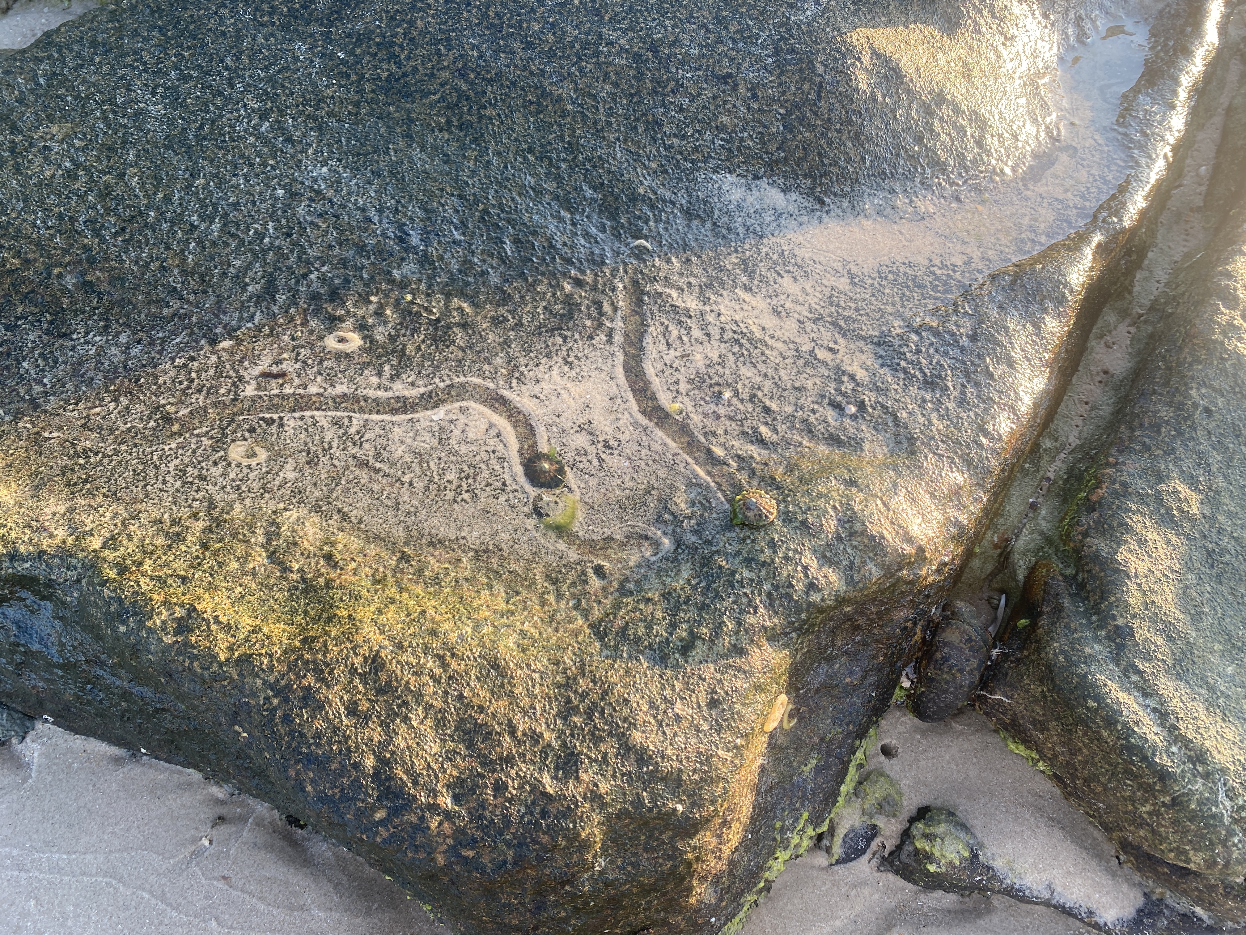 B55D1B45-423B-4398-86C3-41B90FC39ACA