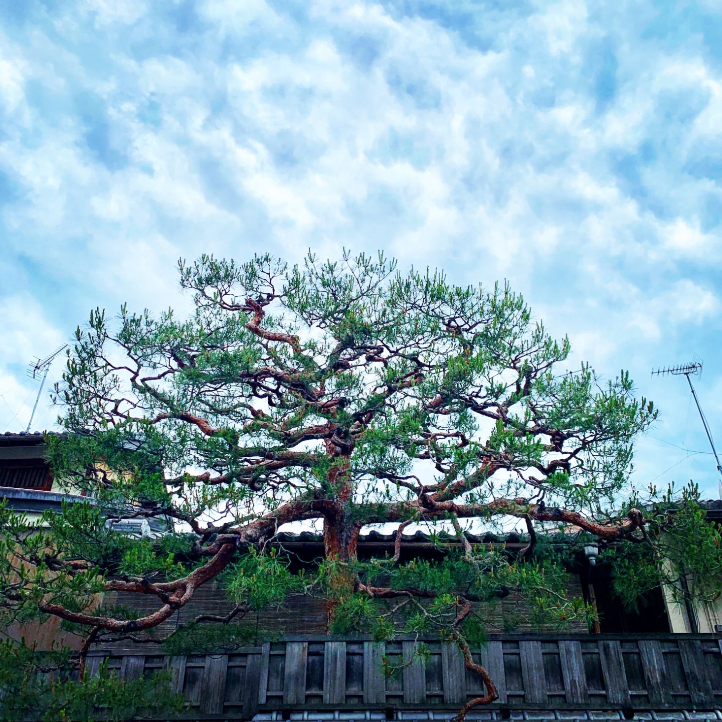 3373DBC0-B16D-484C-96CF-44D1FD6BD7AD