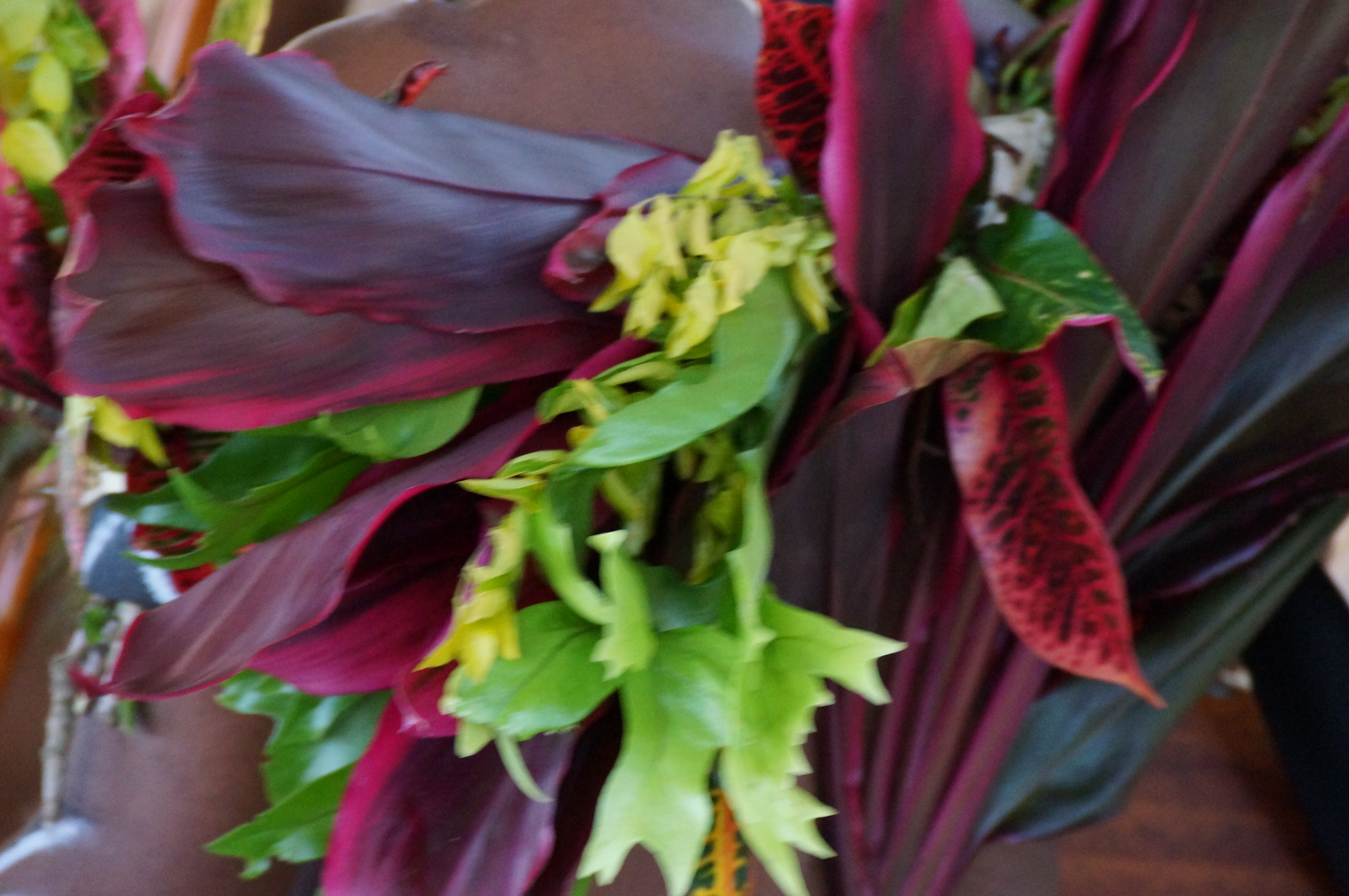 DSC00250