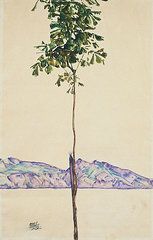 árbol schiele