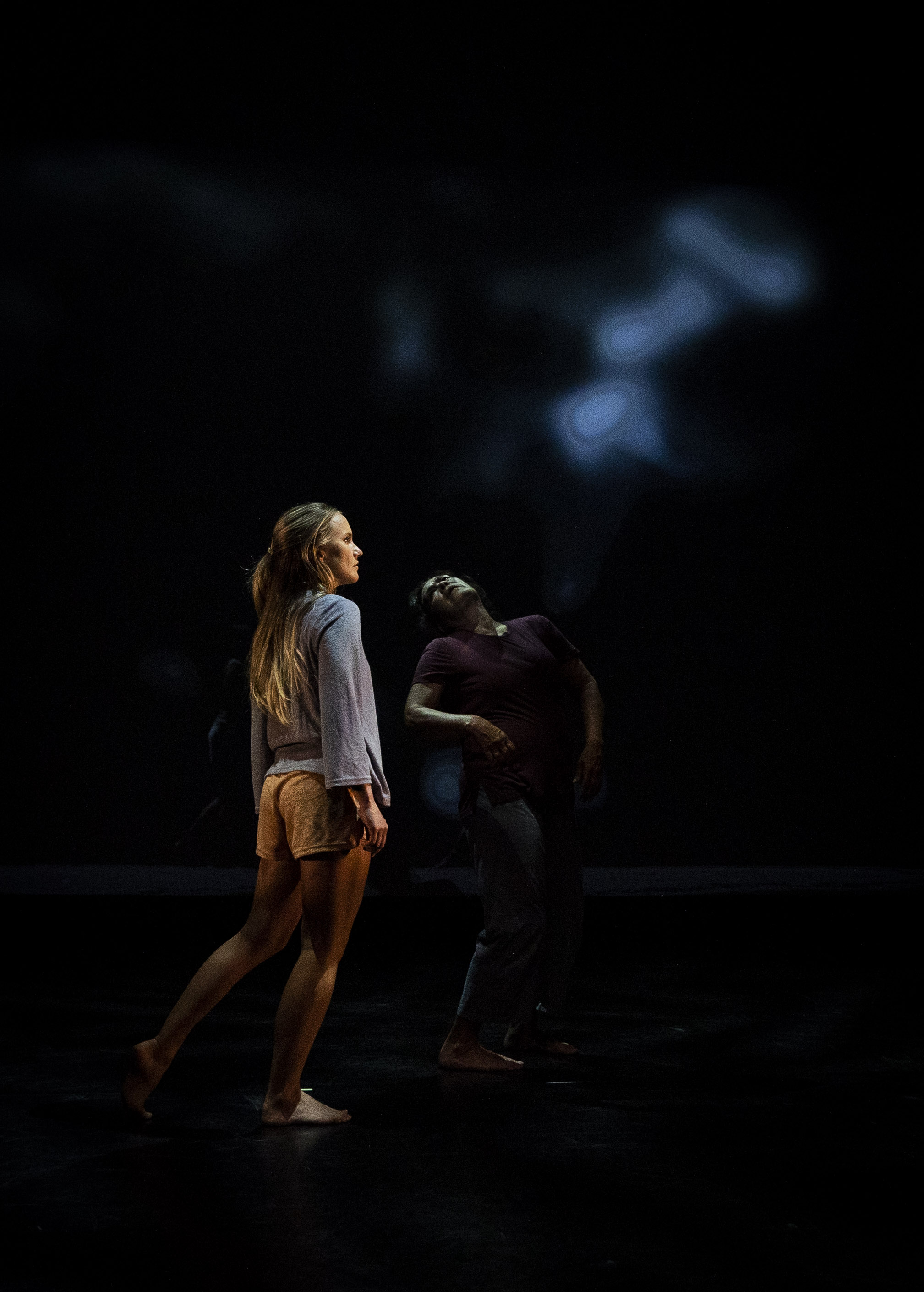 PreparingGround_WOODS99