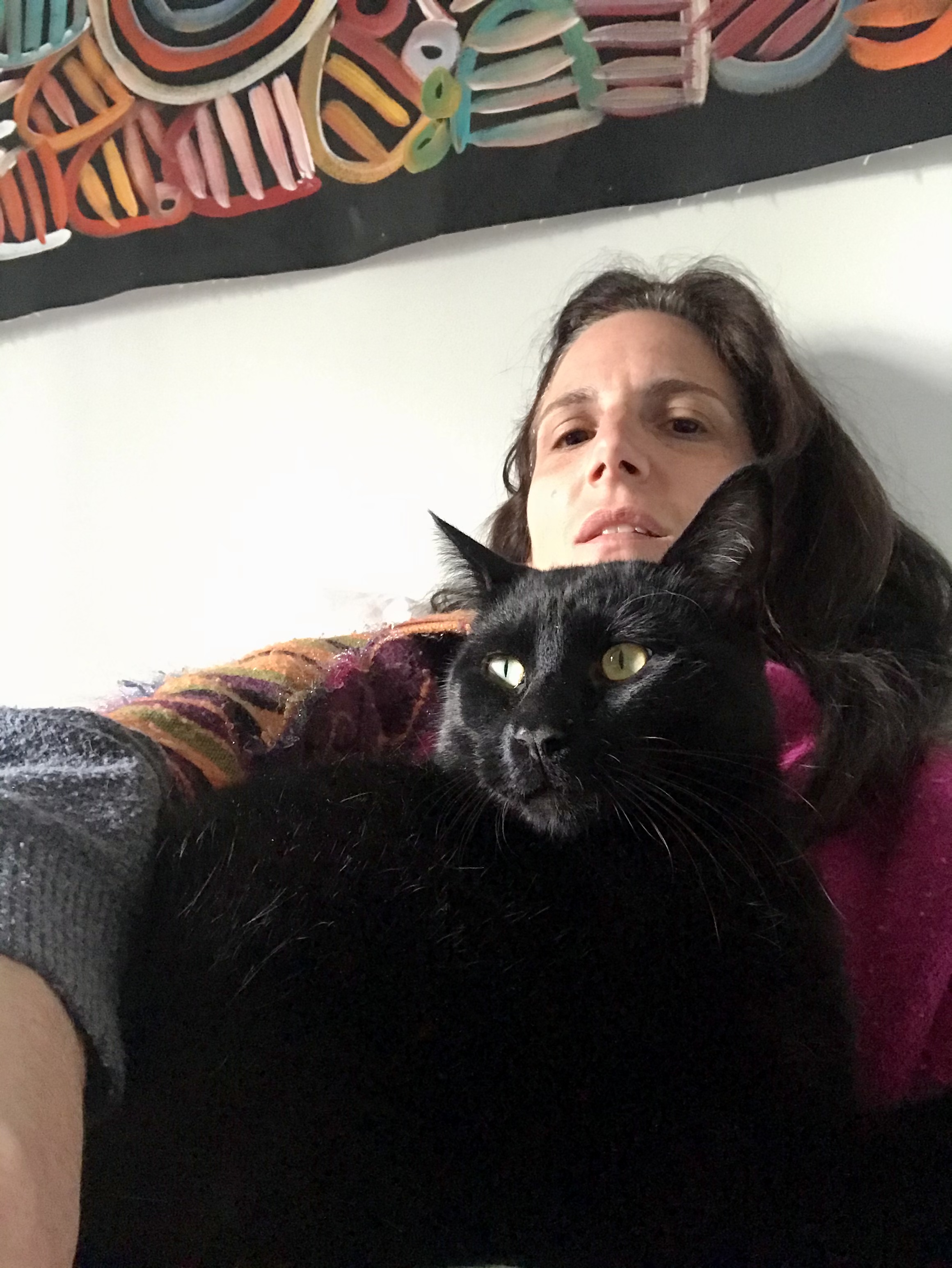 51D0C60F-9E5C-4DCC-BEB5-43520DED8FF3